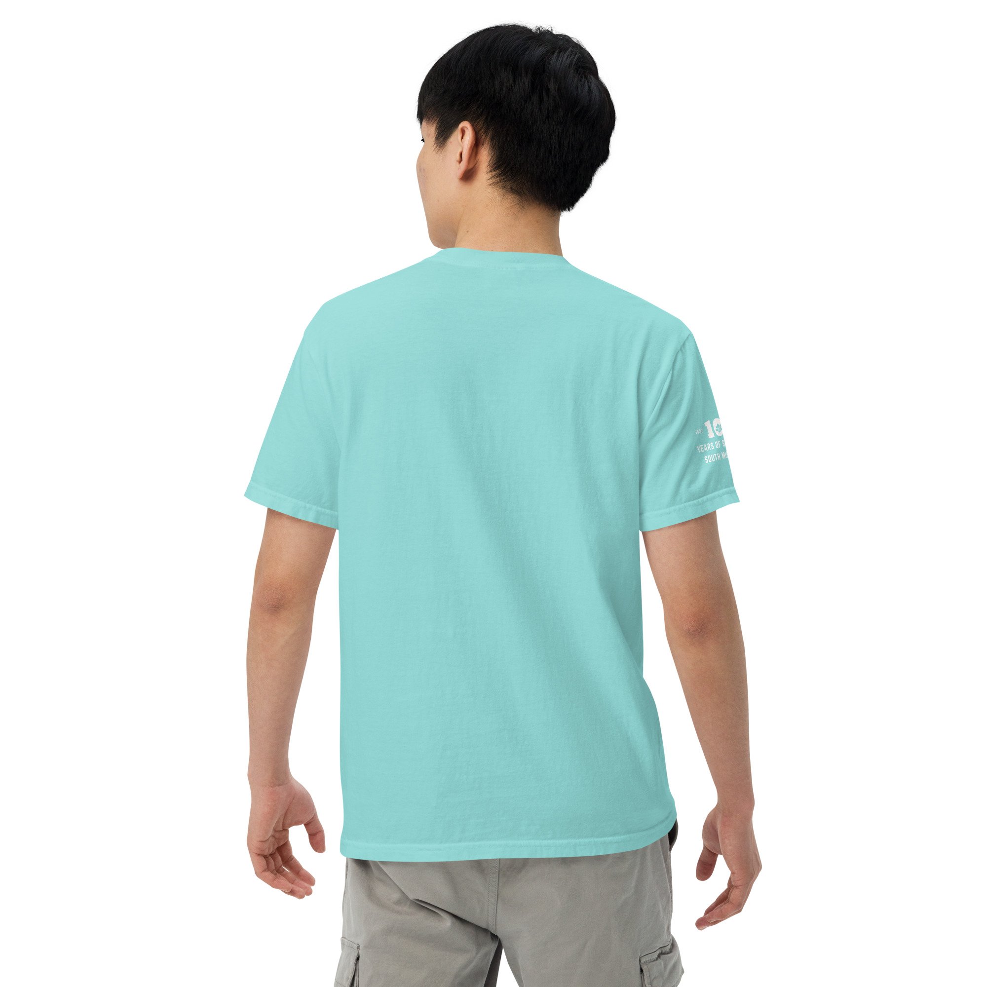 unisex-garment-dyed-heavyweight-t-shirt-lagoon-blue-back-6a6d042dbe8e9.jpg