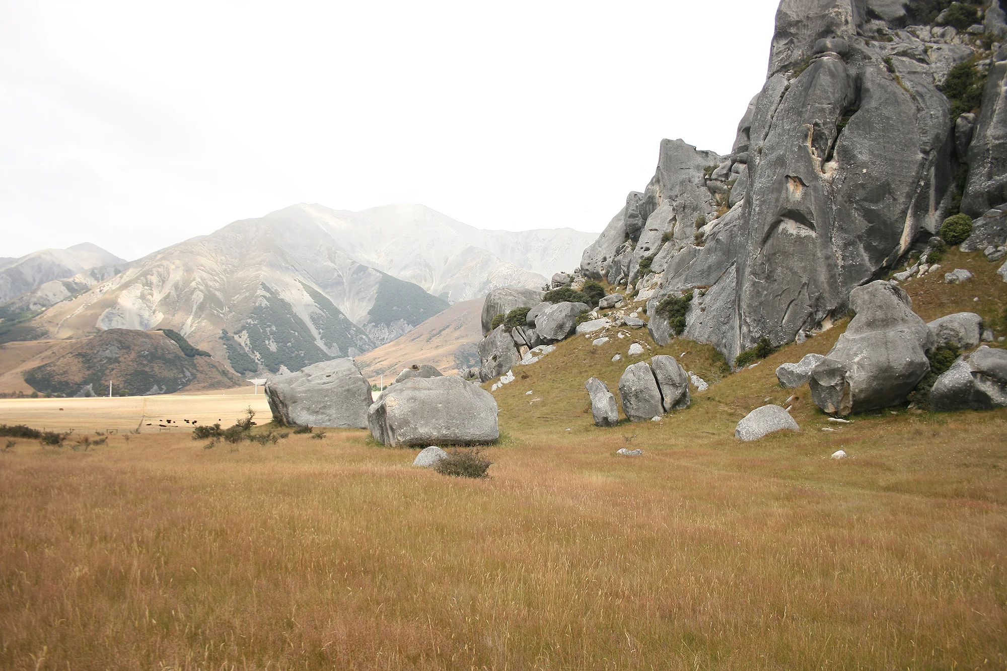 New Zealand - 2013