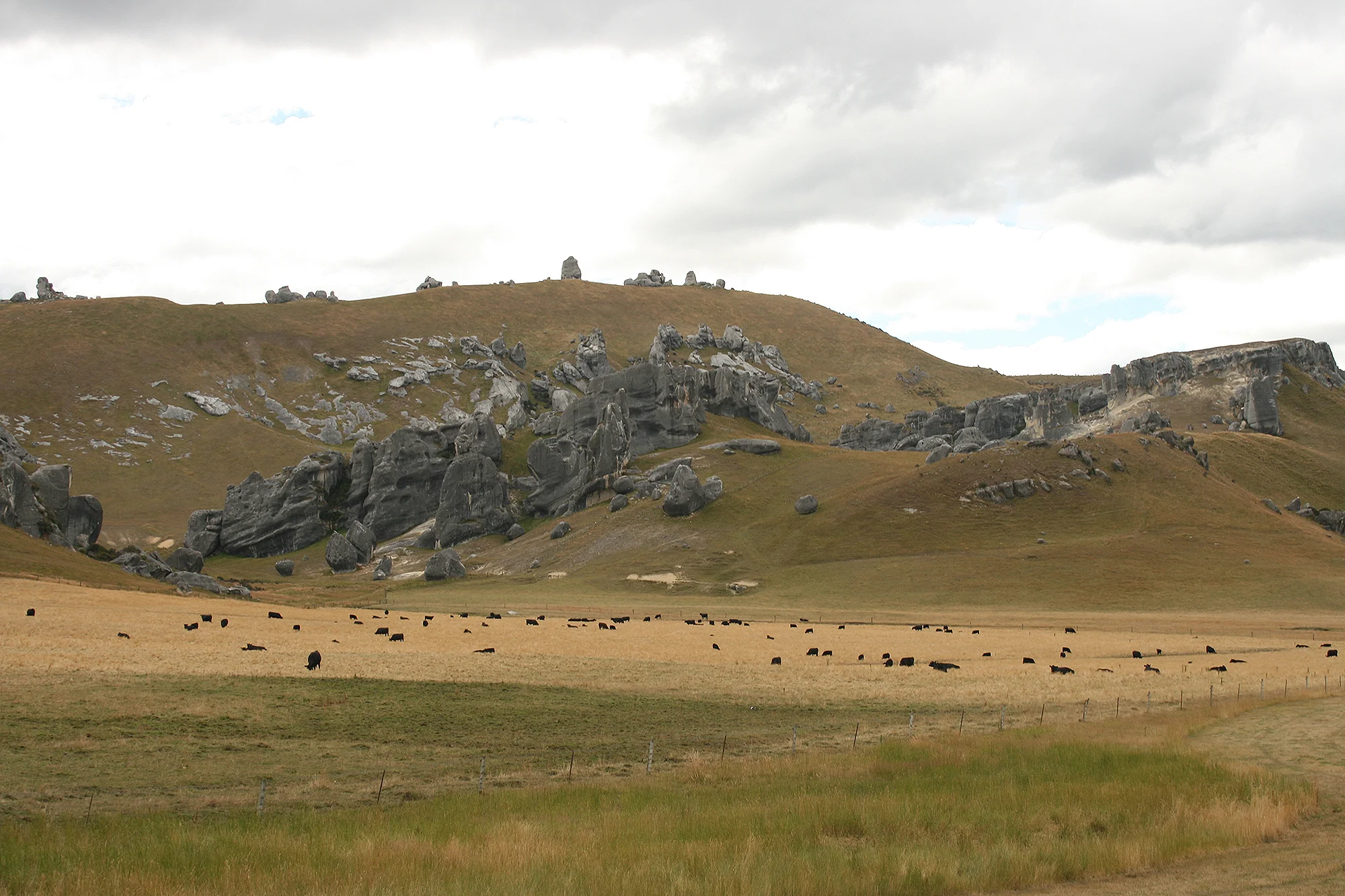 New Zealand - 2013