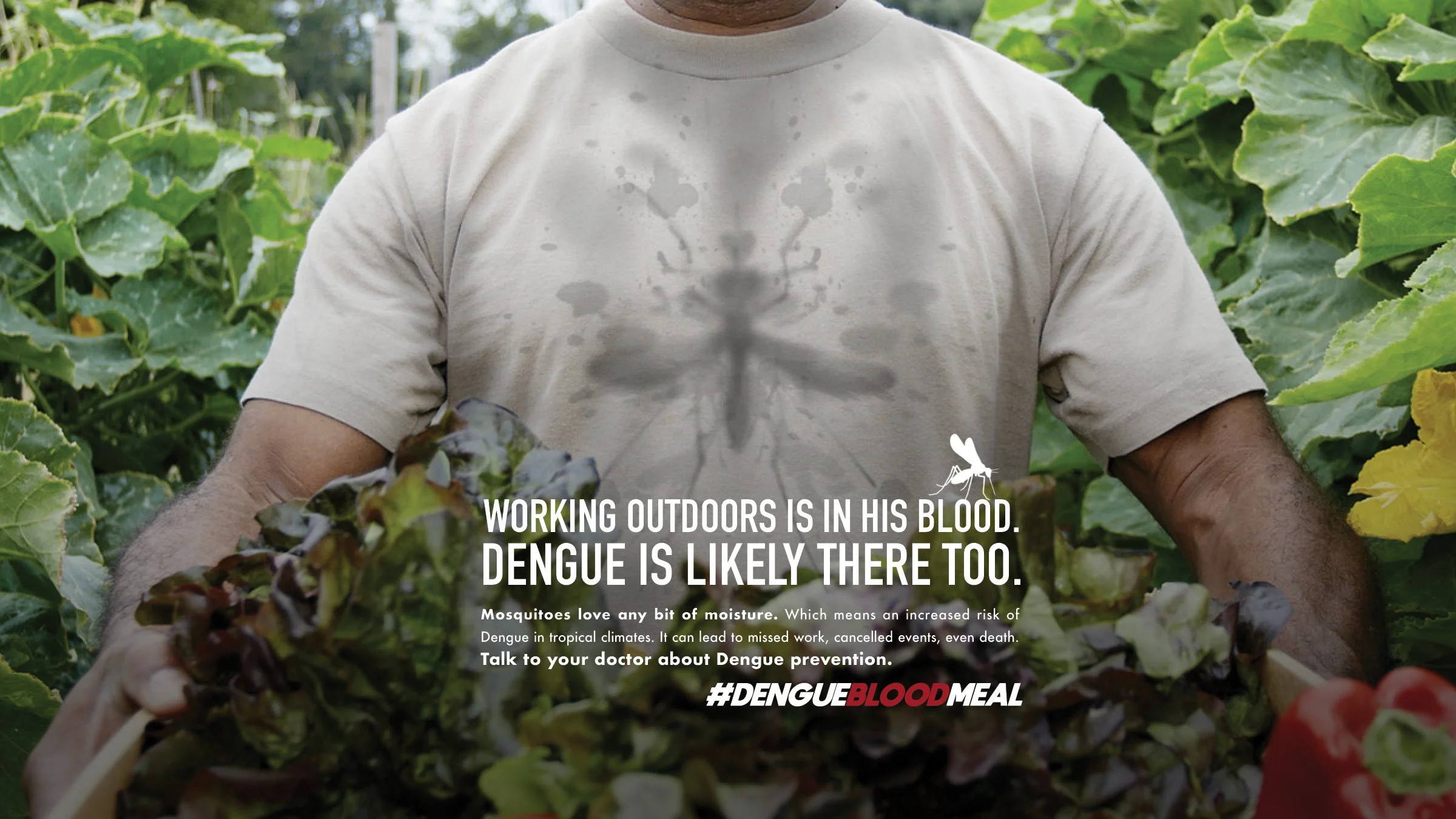 Sam + Brian Dengue Sweat.jpg