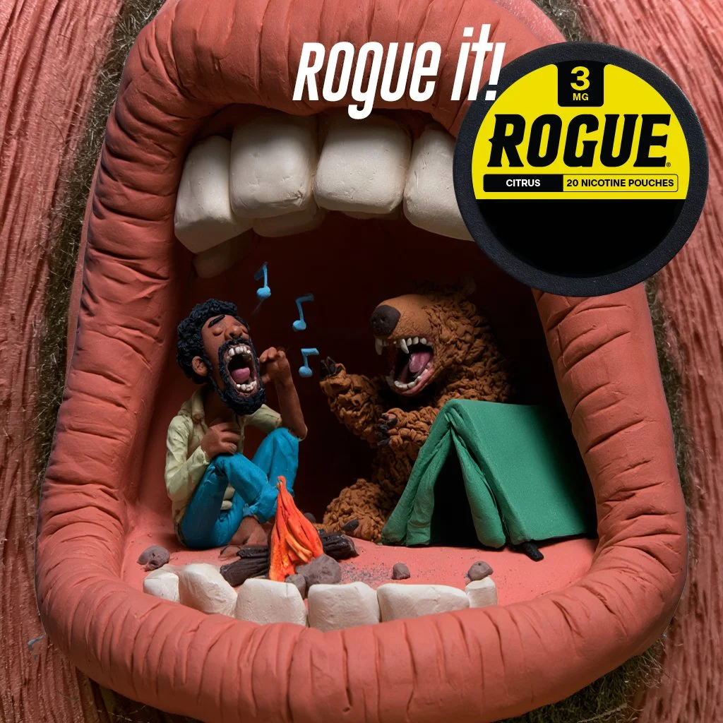 Bear rogue copy.jpg