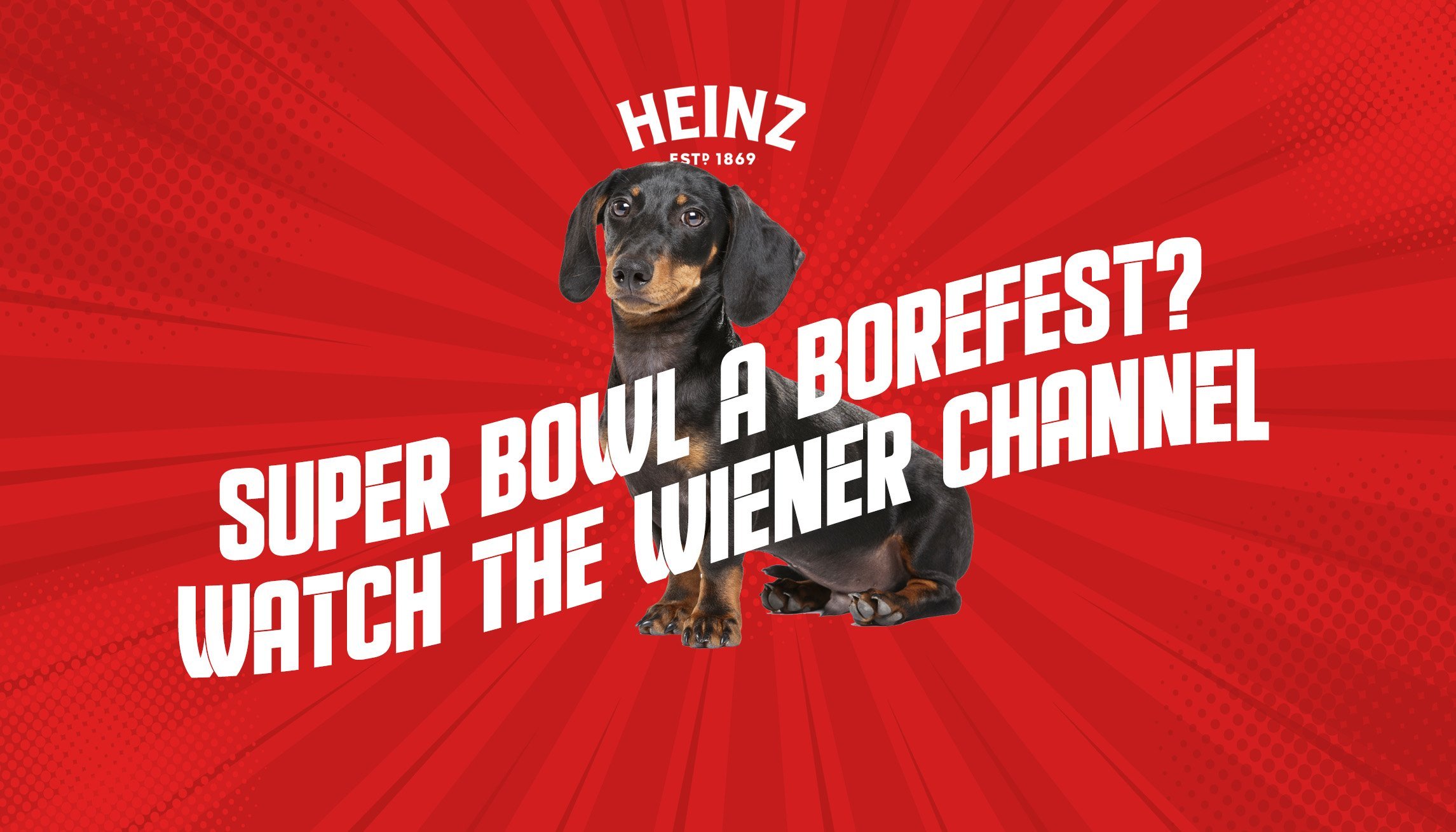 boring+superbowl+title+copy.jpg