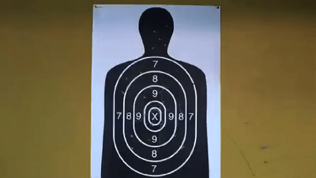 Gun Control-low.gif