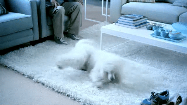 Febreze _Uninvited Guest_-low.gif