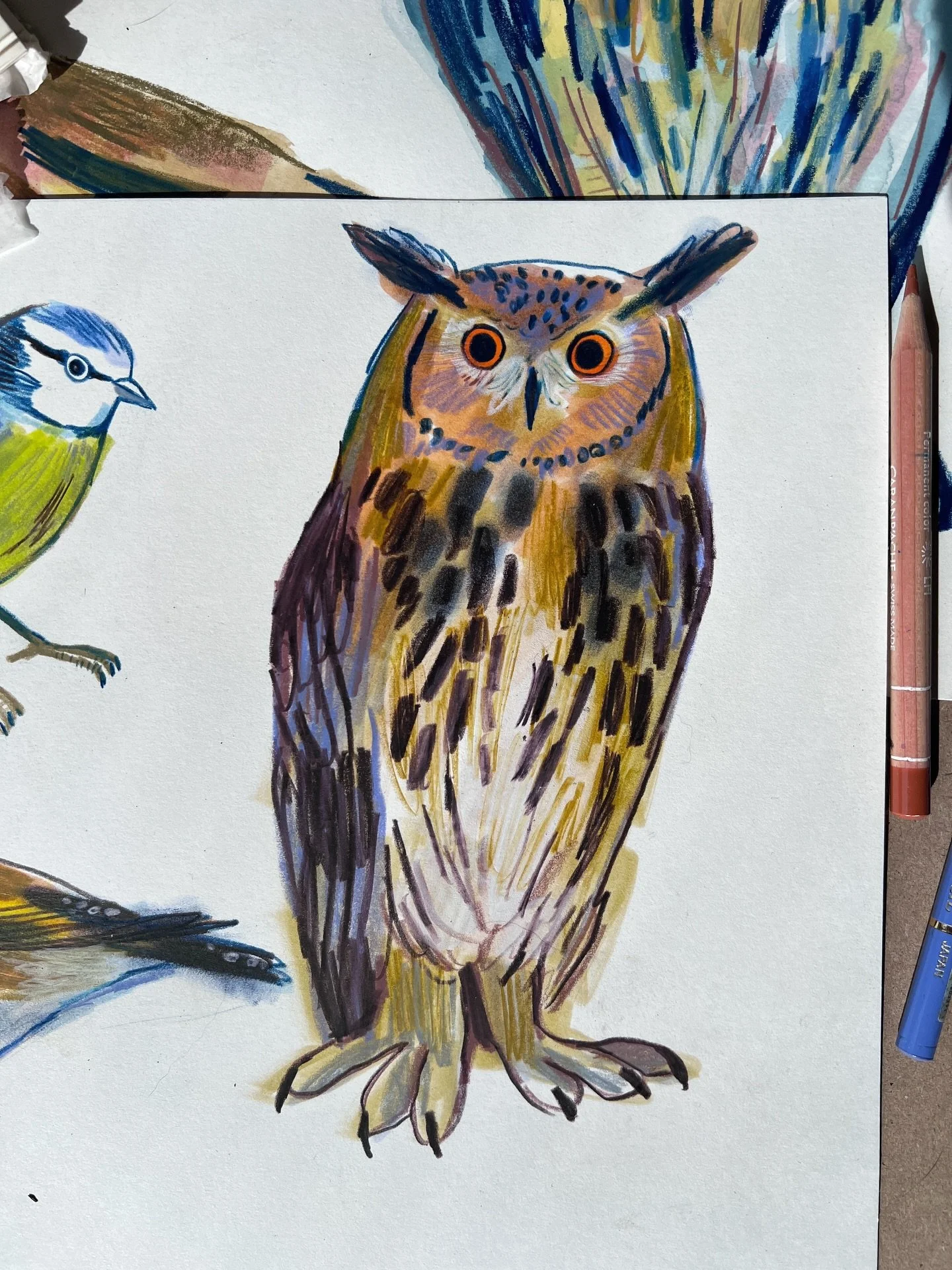 Thanks so much everyone who joined me last night for my birds class with @londondrawinggroup !

Please keep tagging me in your bird drawings I am loving seeing them! I&rsquo;m back with LDG in June! Keep an eye on their page for more details!