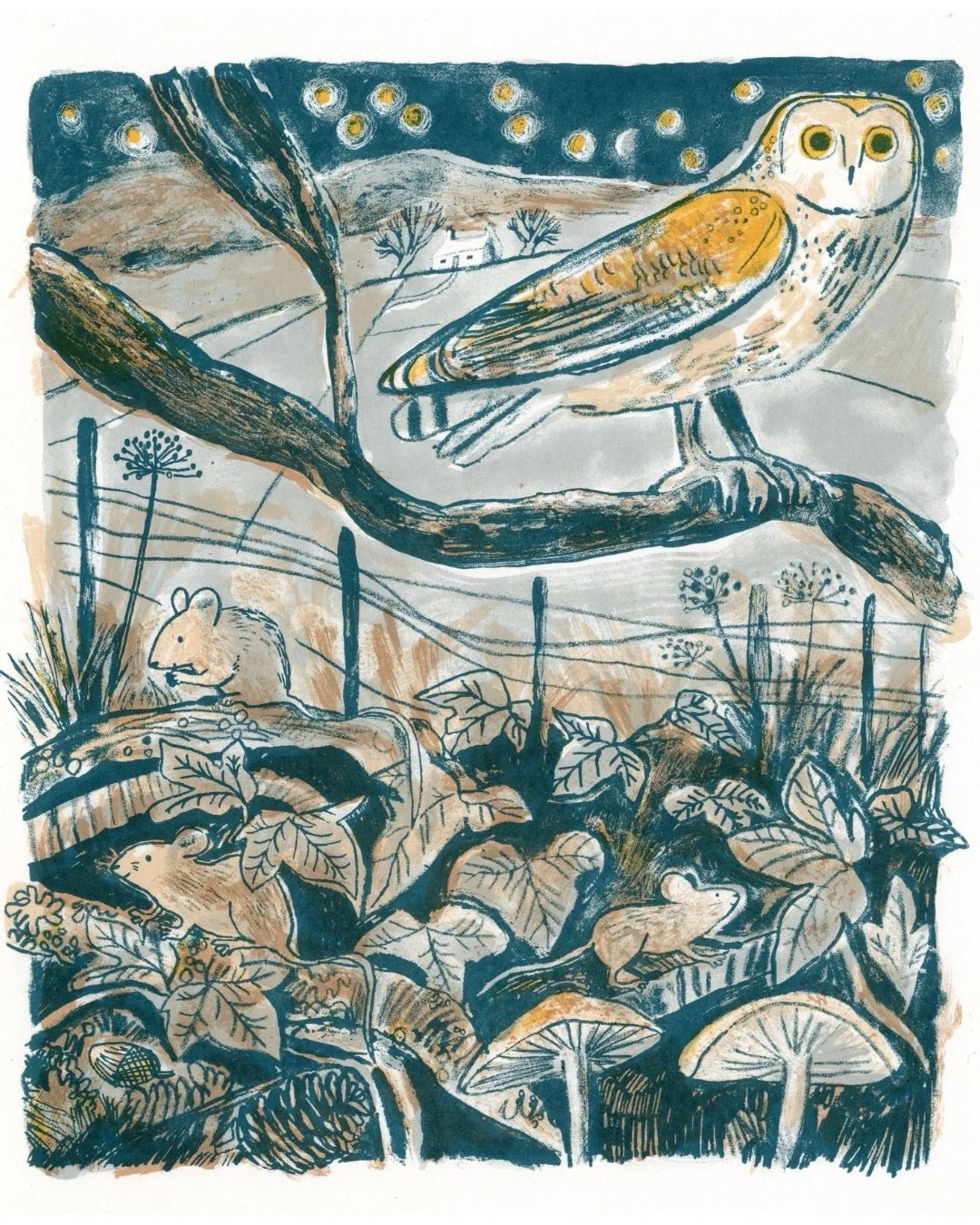 I&rsquo;m back at @doubleelephantprintworkshop  after taking almost 3 months off to finish a picture book project. It felt really satisfying to add the final layers to this owl print after starting it in October, inspired by crisp Autumnal evening wa