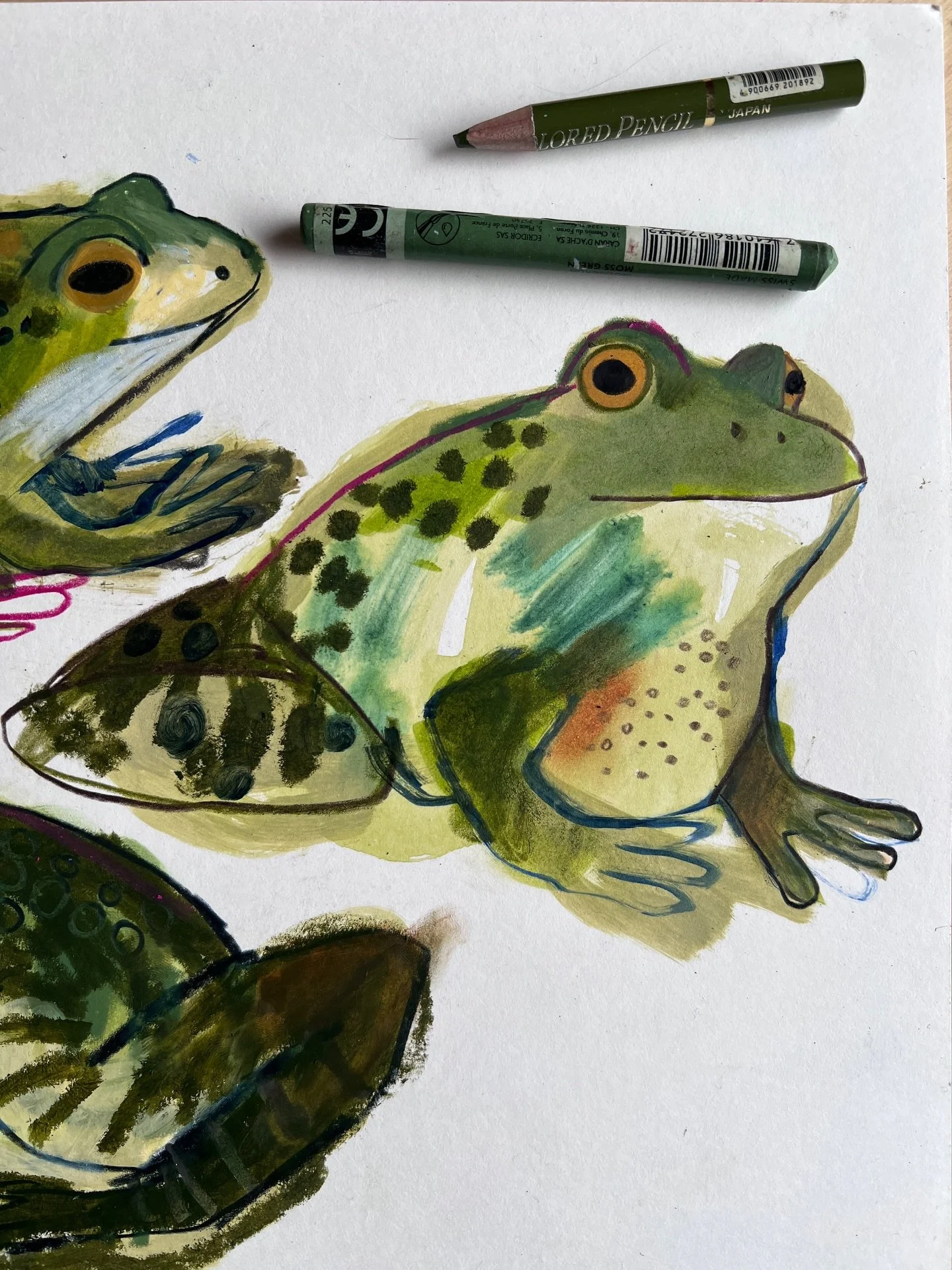 Thanks so much everyone who joined me last night for my frogs class with @londondrawinggroup ! I loved it! I joked to @philipharrisillustration that I was going to be a full time frog illustrator now 😂🐸 if anyone need any frog drawings doing let me