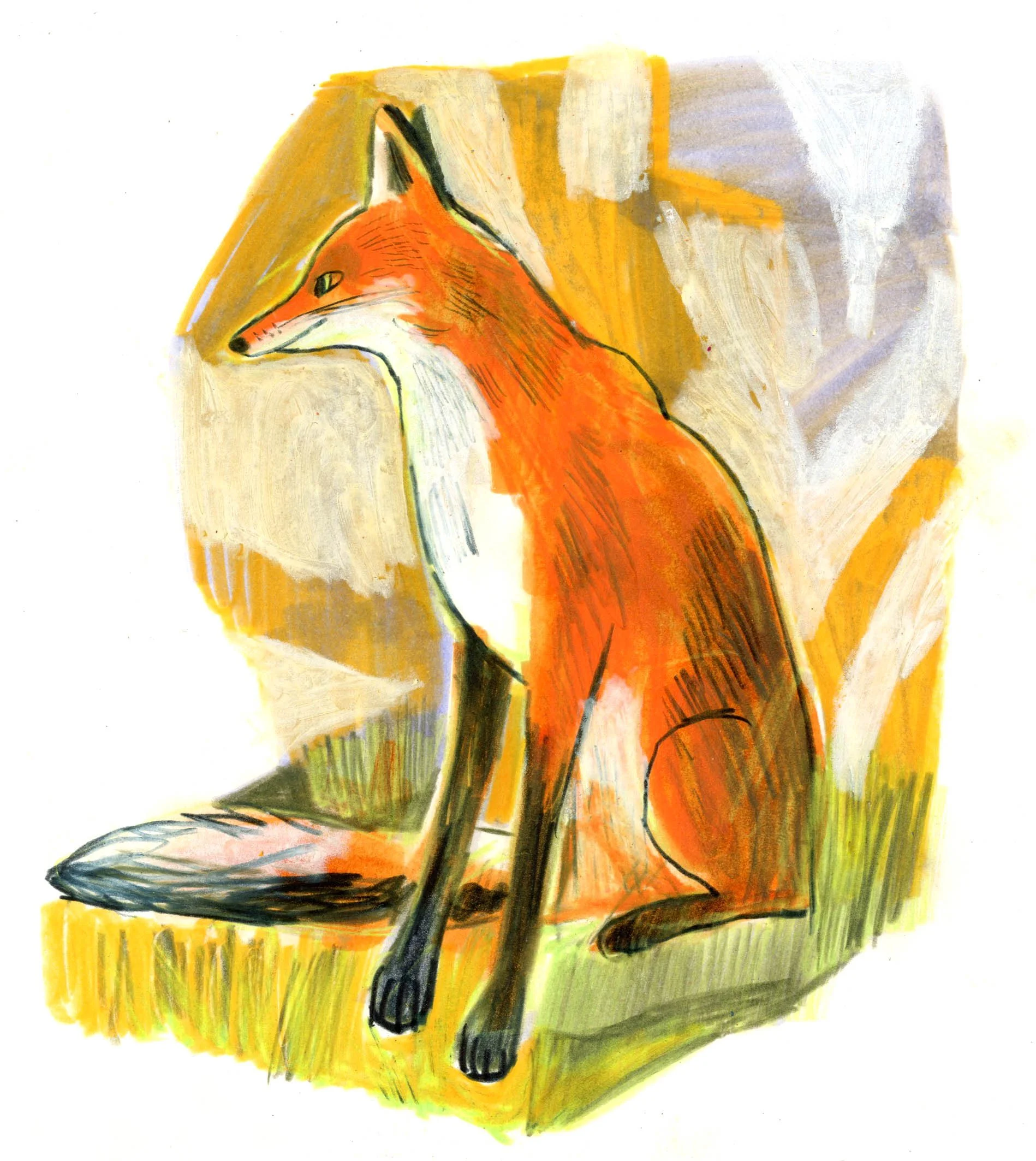 EmmaCarlisle_Fox_web.jpg