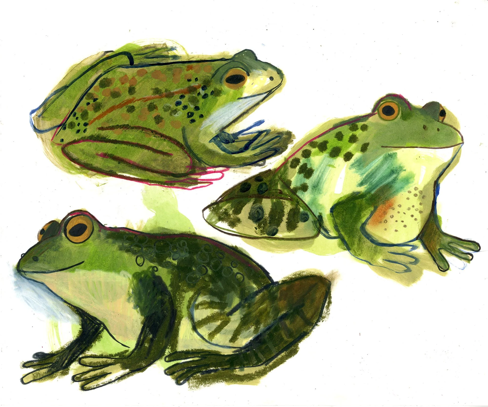 EmmaCarlisle_Frogs_web.jpg