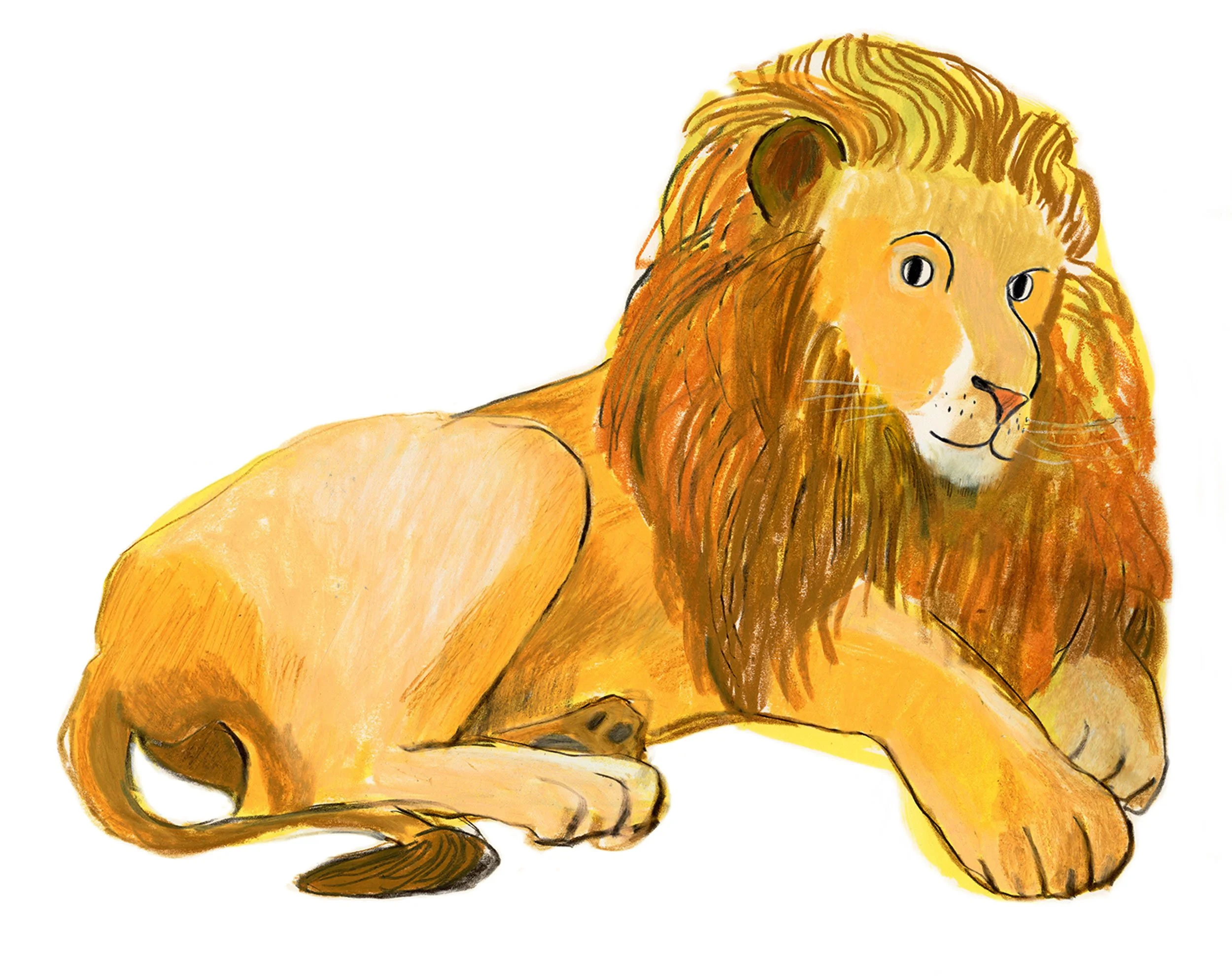 Lion_EmmaCarlisle2025.web4.jpg