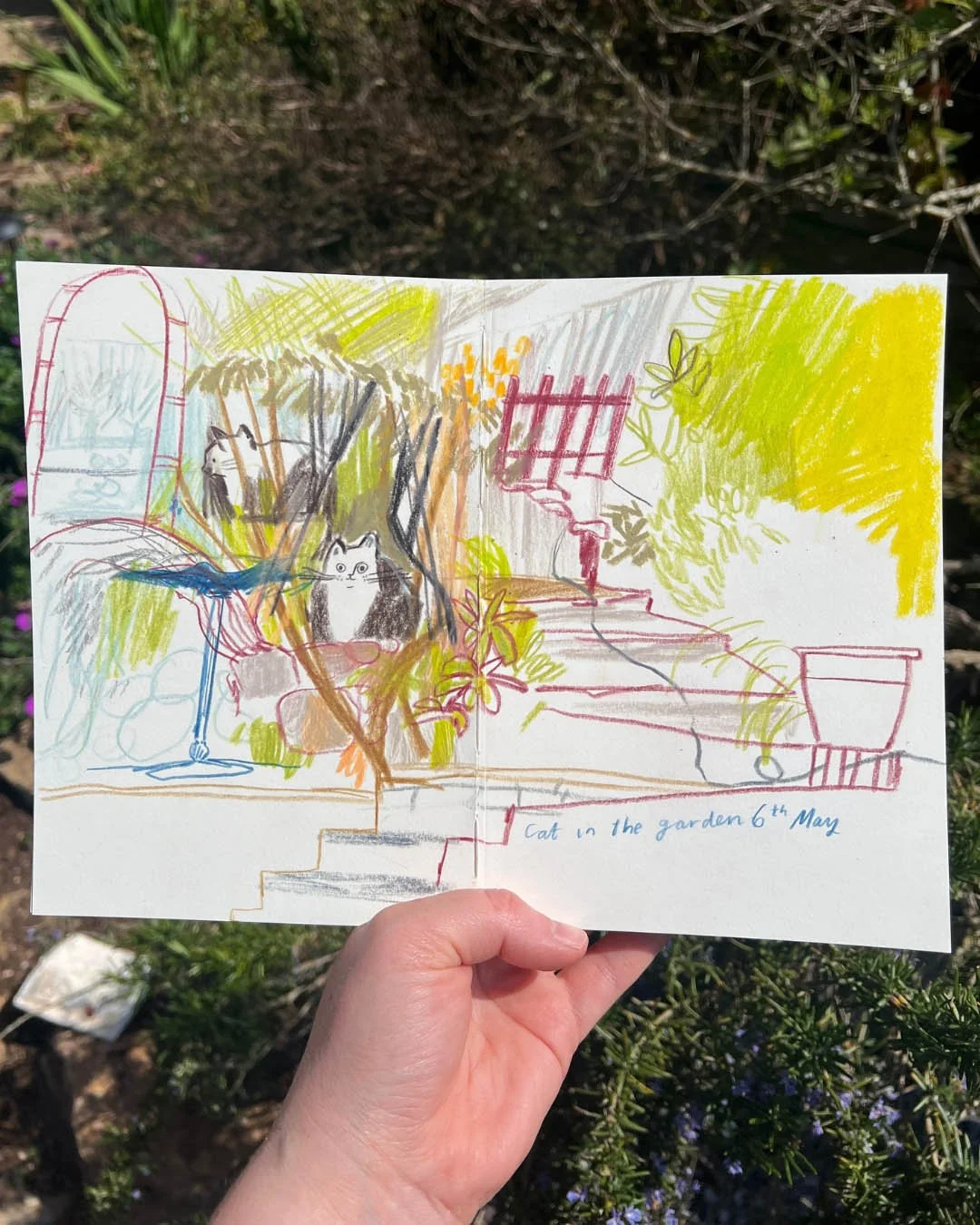 EC_Sketchbook_catingarden_web.jpg