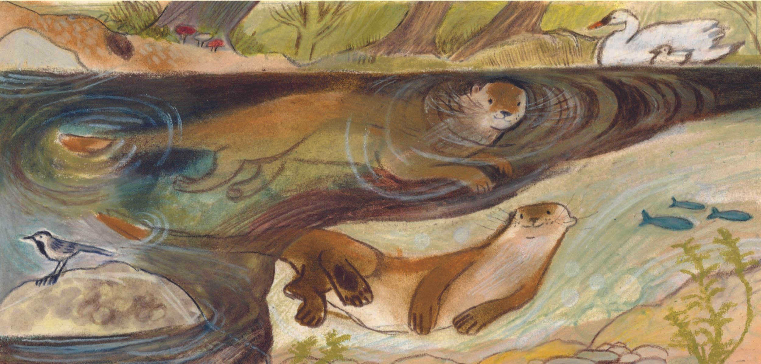 0016_Otters_TRLR_EC_Web2.jpg
