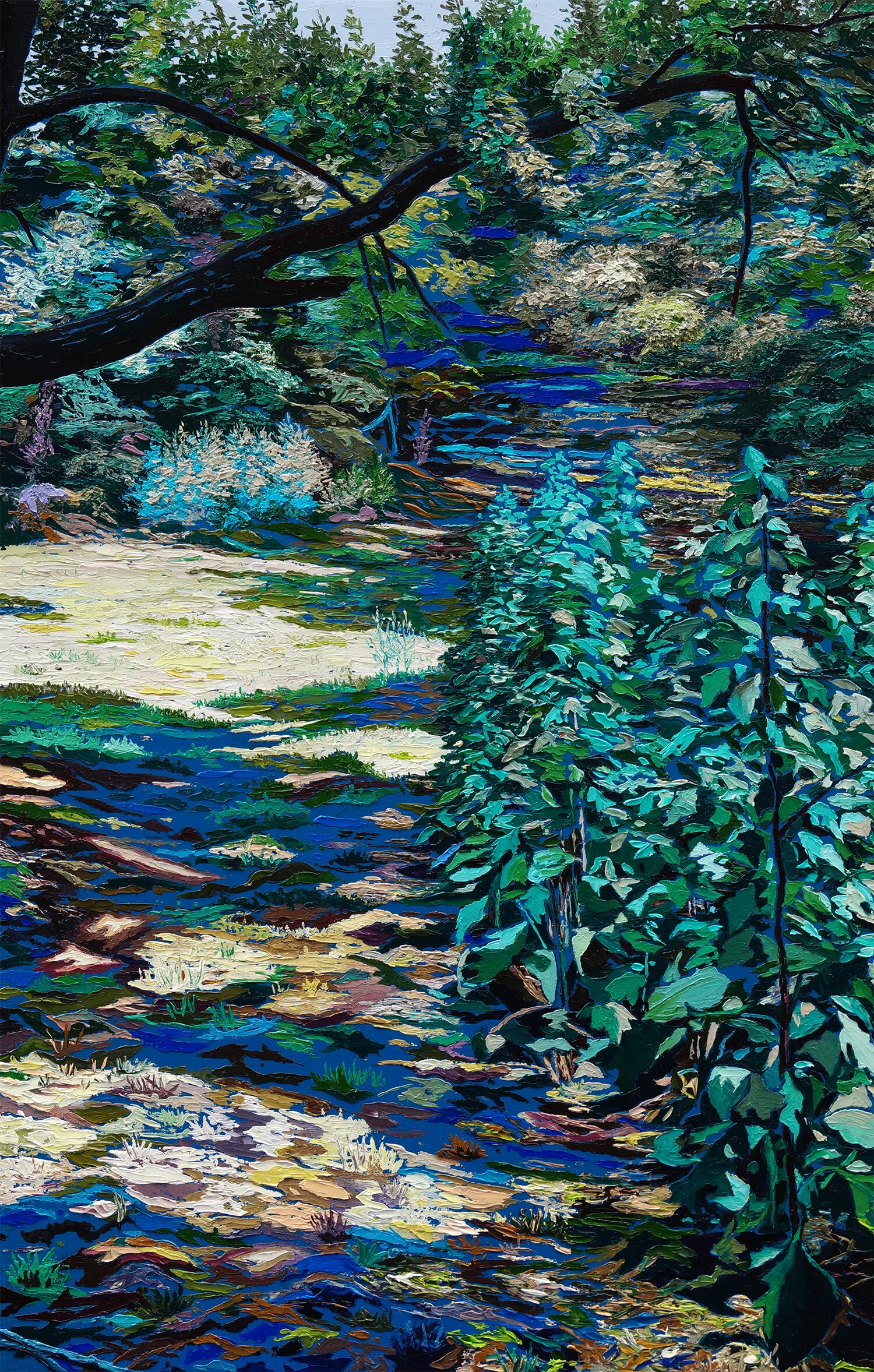 Lichteinfälle in hügligem Wald.jpg