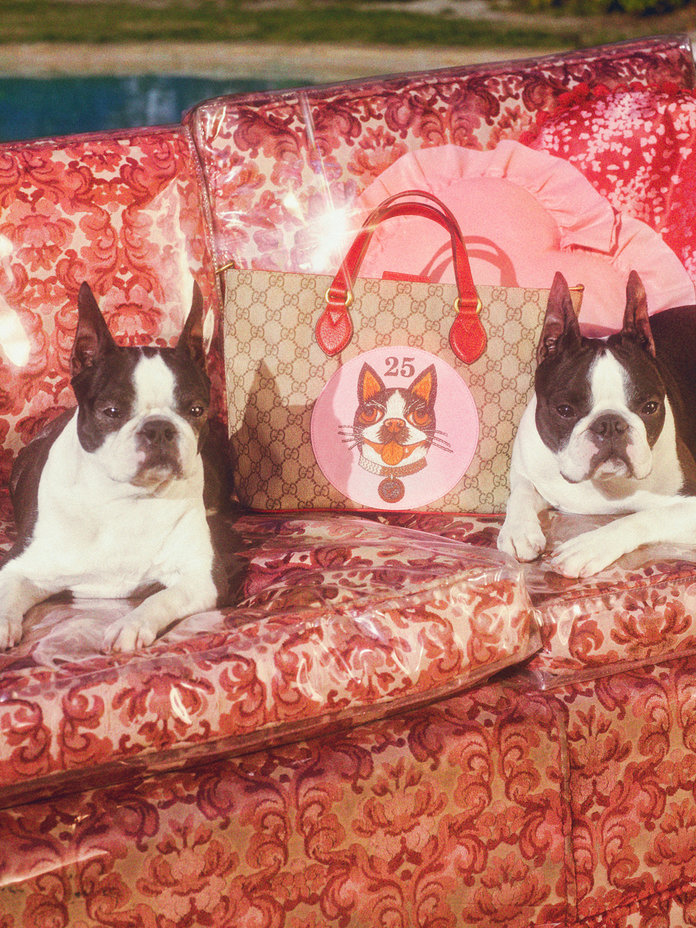 Gucci Chinese New Year of the Dog Collection.jpg