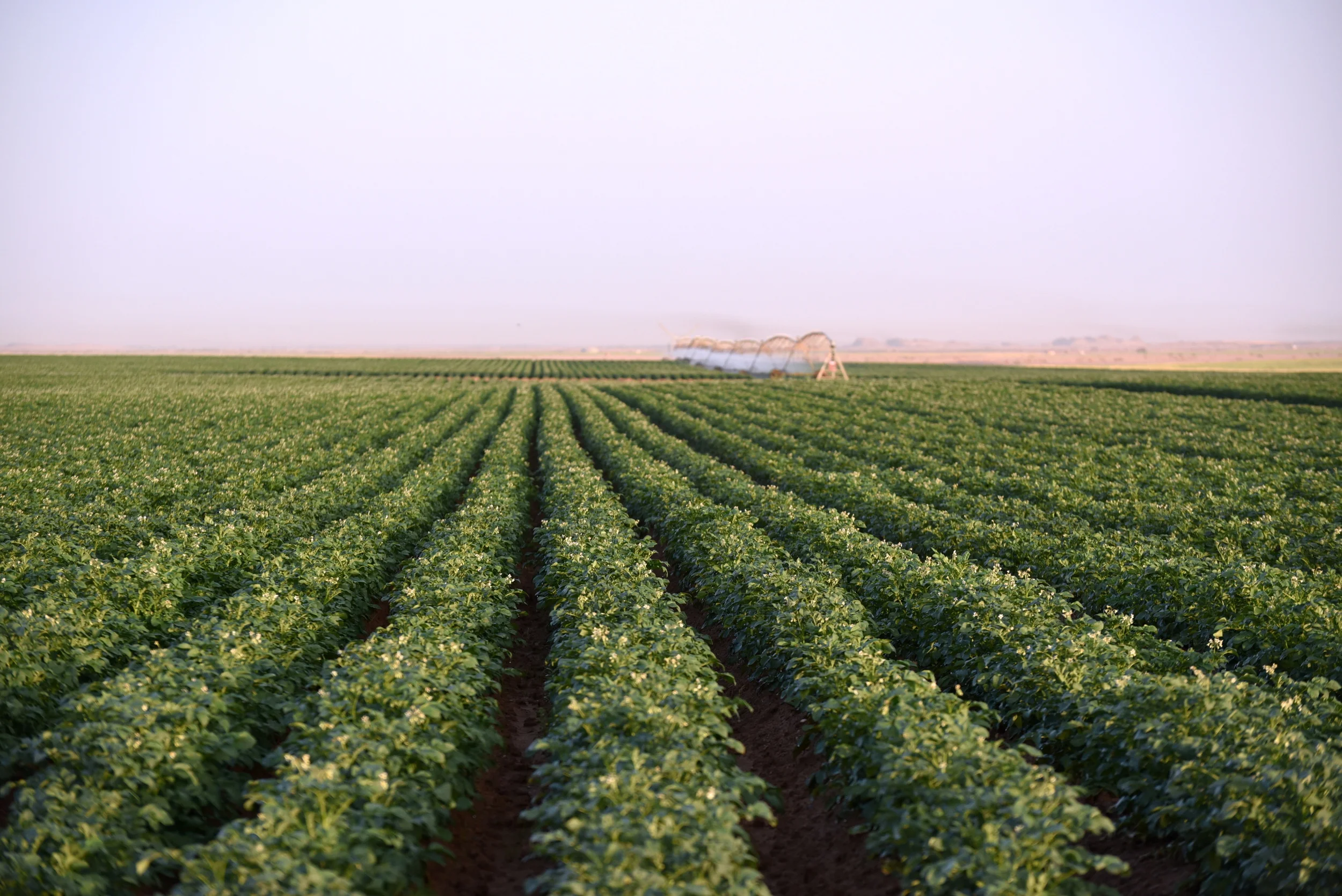 Foto 11 - TADCO DSC_0305.JPG