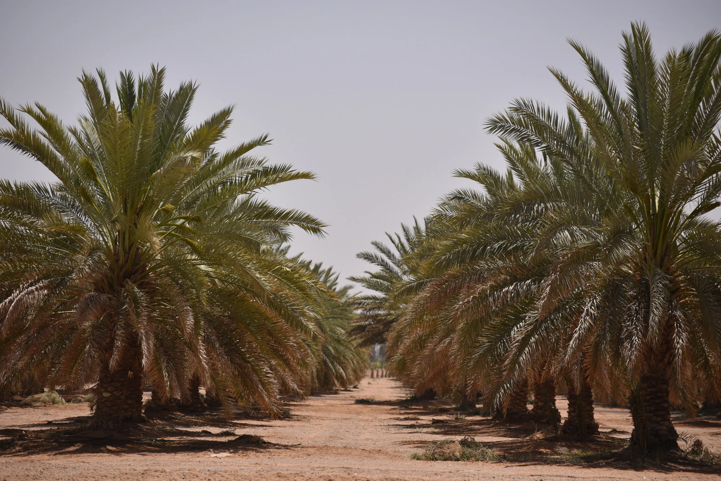 Foto3- TADCODSC_0336-001.JPG