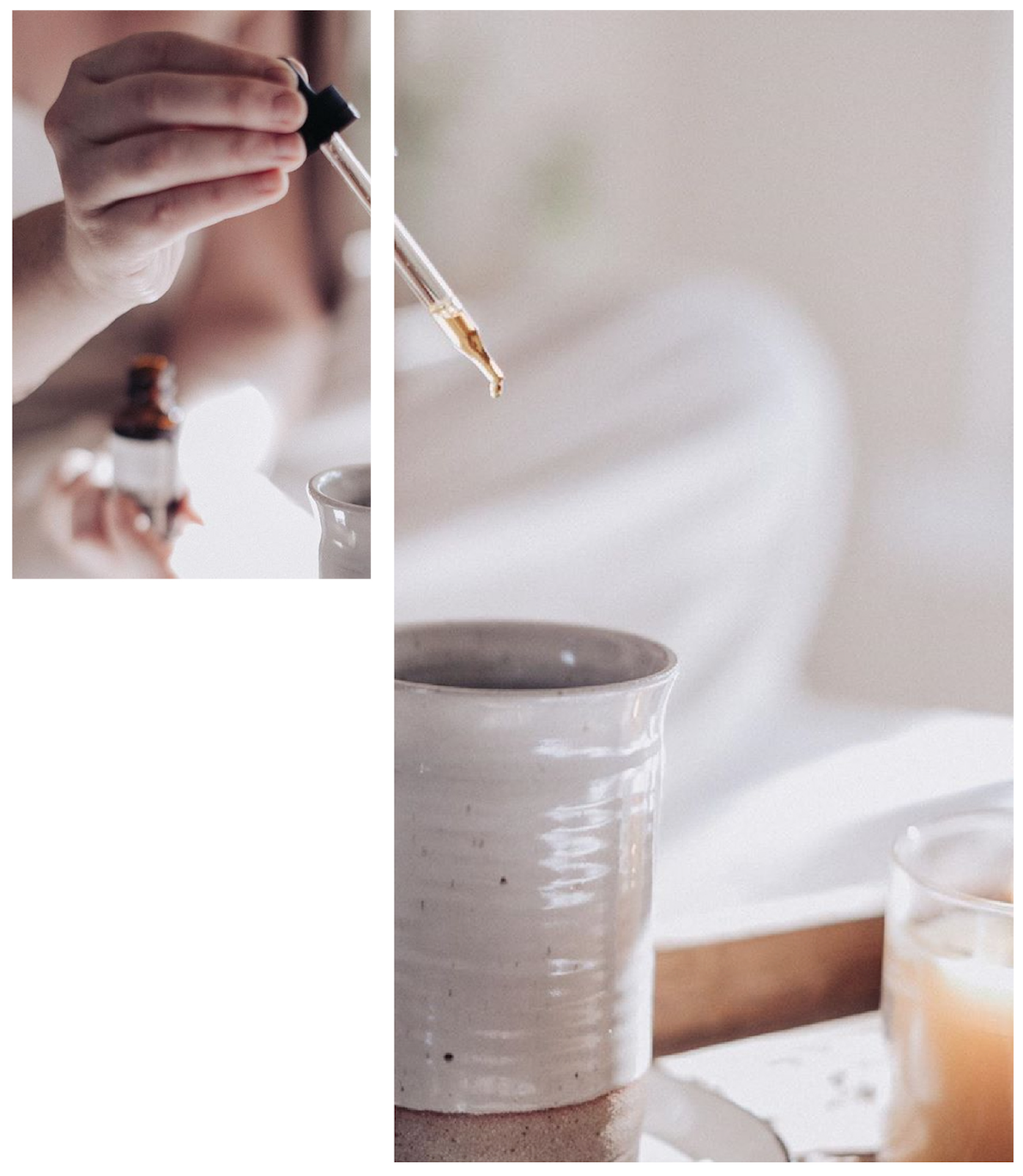 Canabinoides ao poder