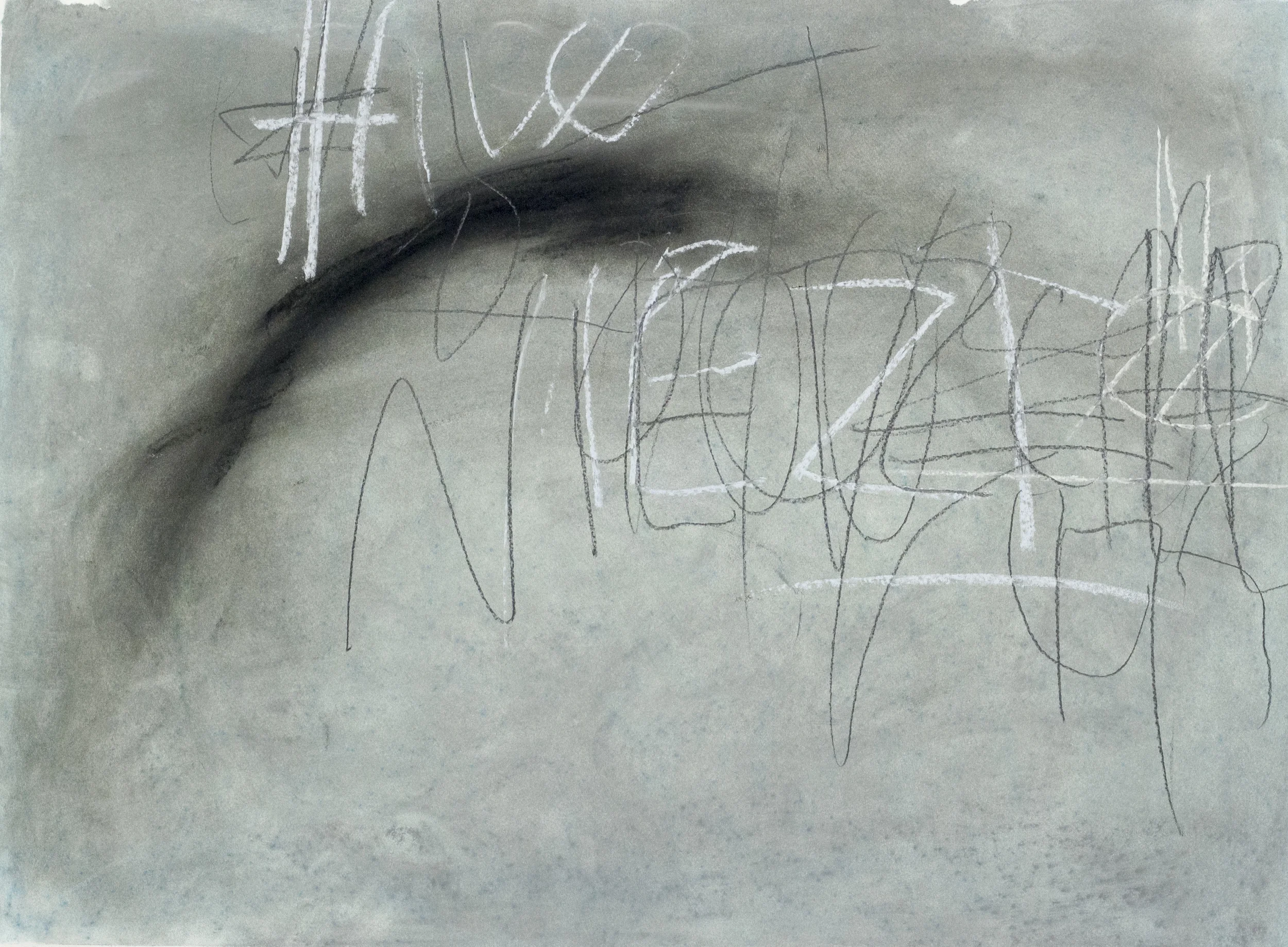 I Want to Explain, But I Have Forgotten the Words , 2015 18 x 24 inches Pastel, Graphite, and Charcoal on Paper