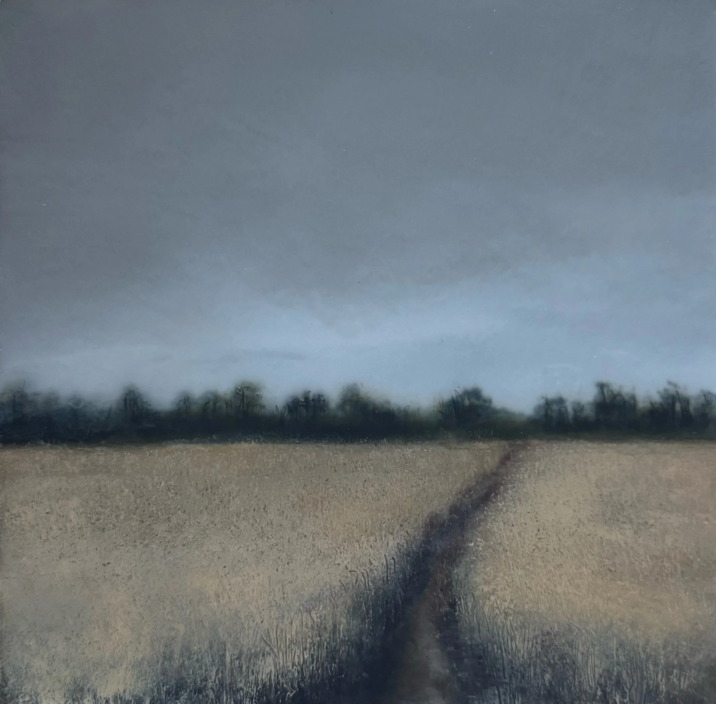 20.5x20.5cm towards the trees.jpeg