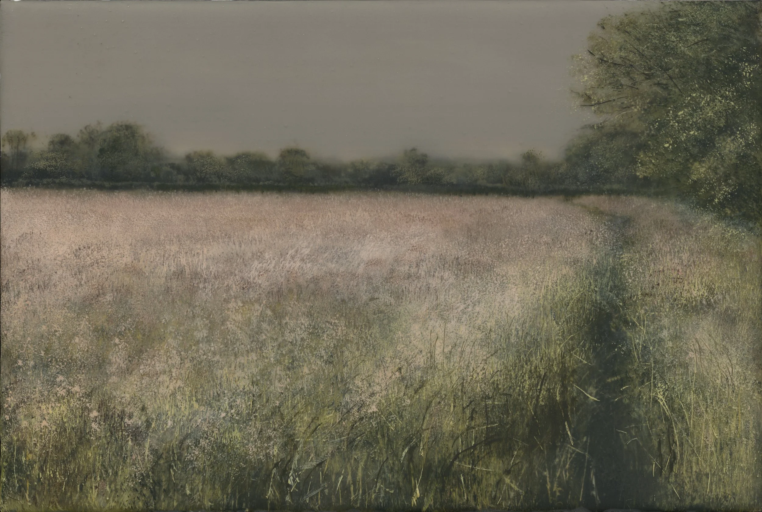 EDIT2_C_fields_02 2.jpeg