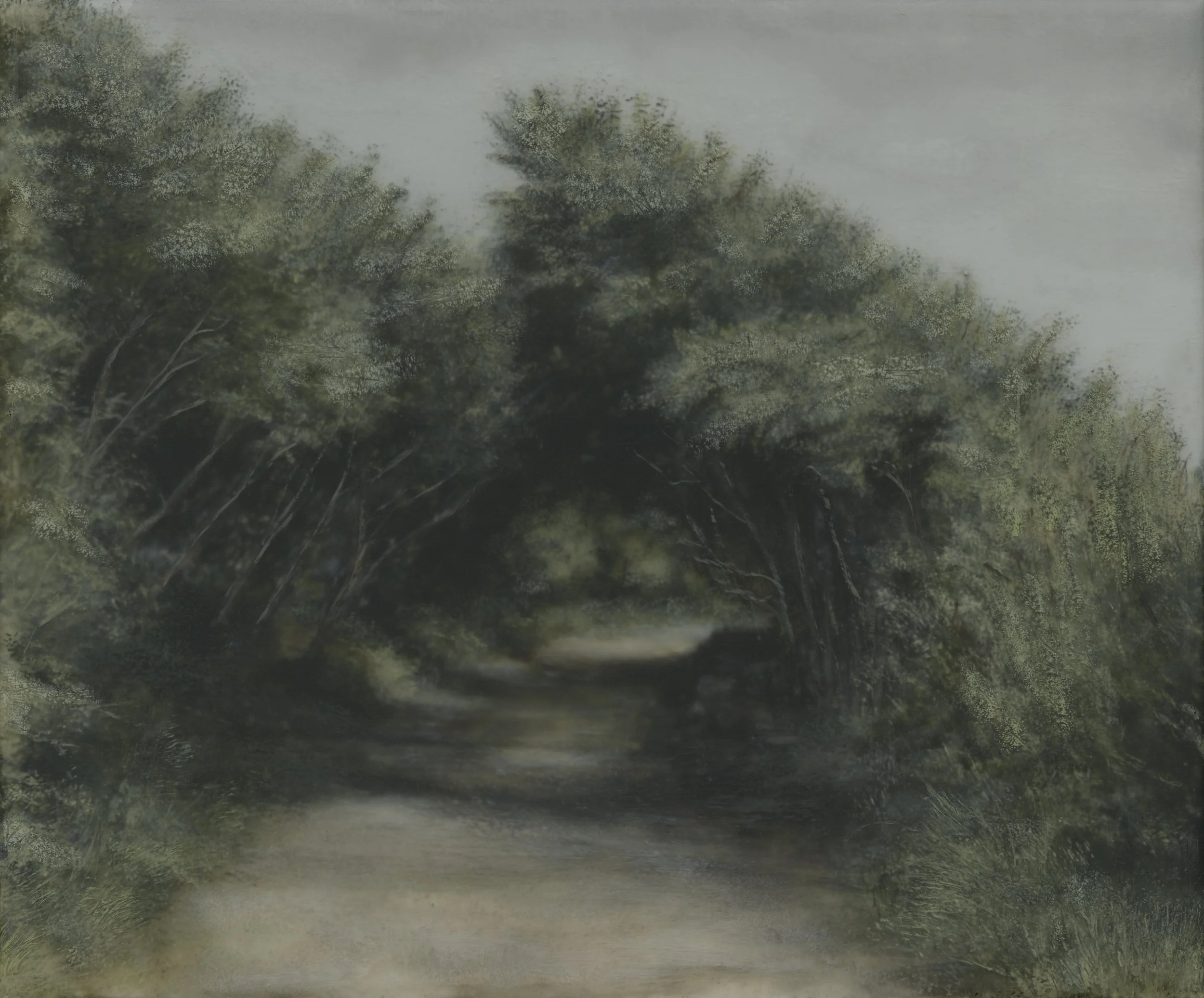 EDIT_C_holm_oak.jpeg