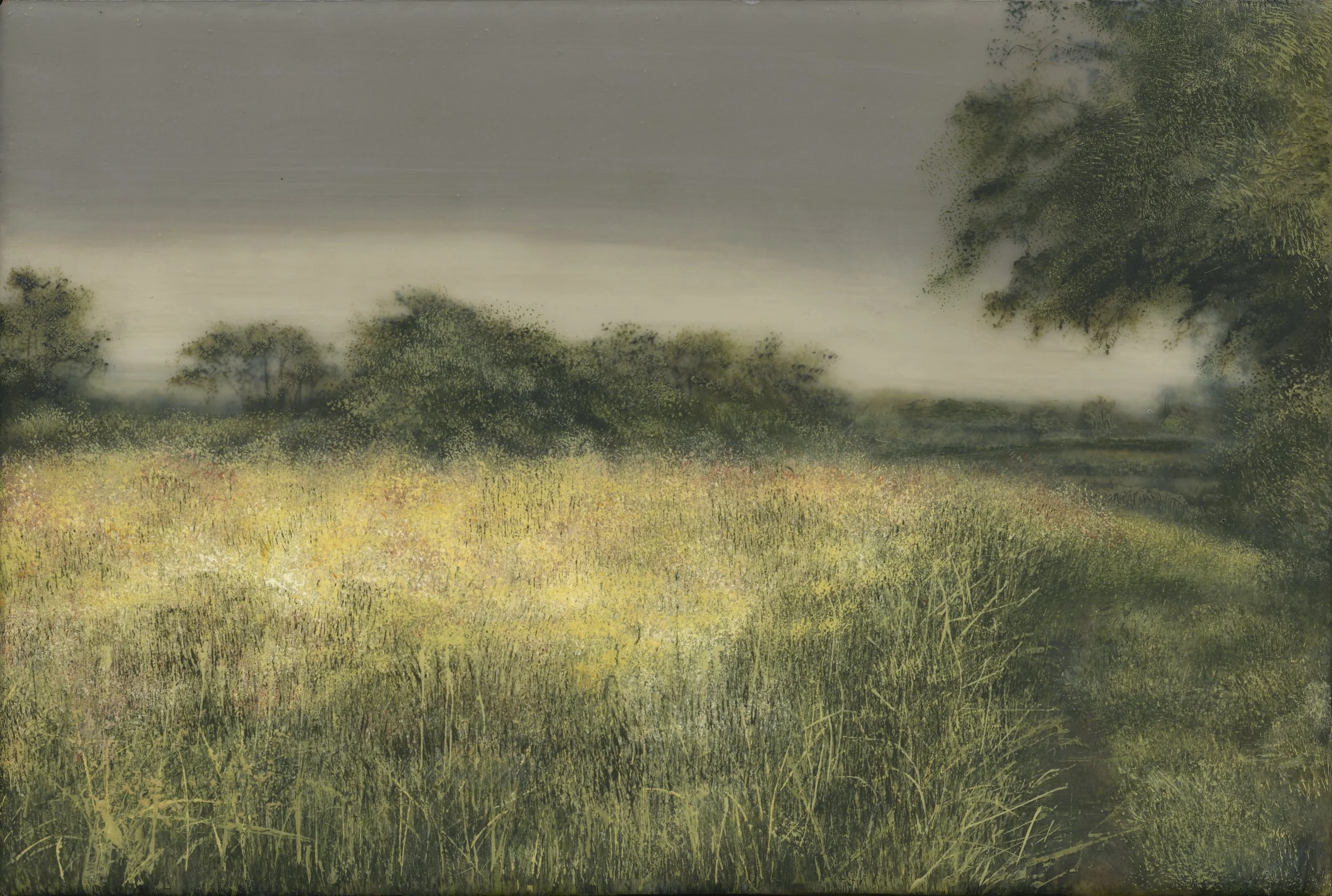 EDIT2_C_fields_03 3.jpeg