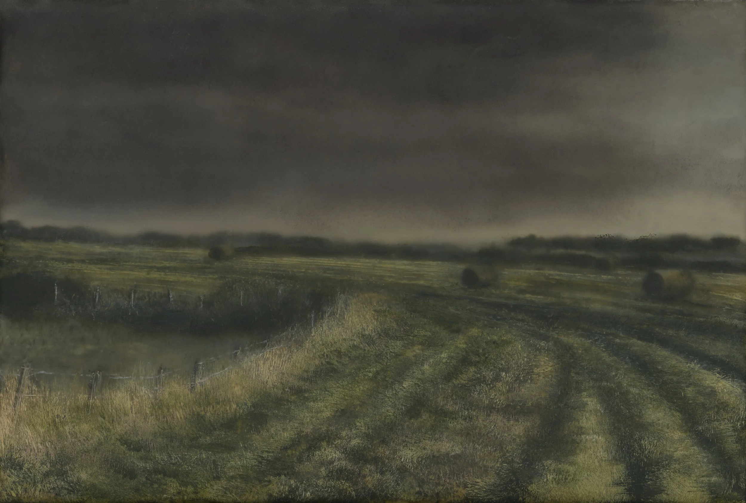EDIT2_C_fields_01.jpeg