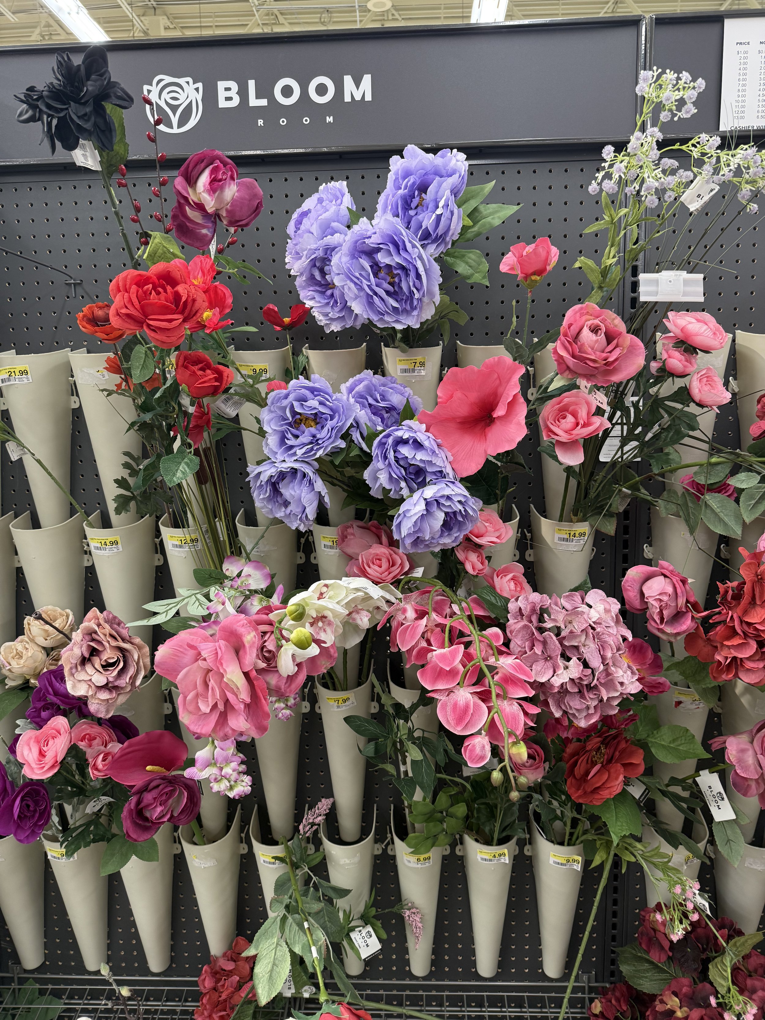 IMG_2849.jpeg