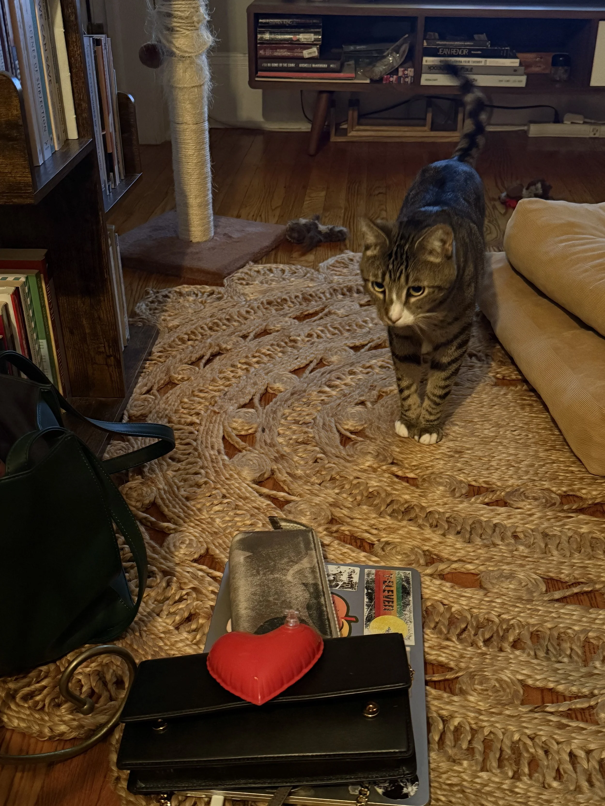 IMG_1359.jpeg