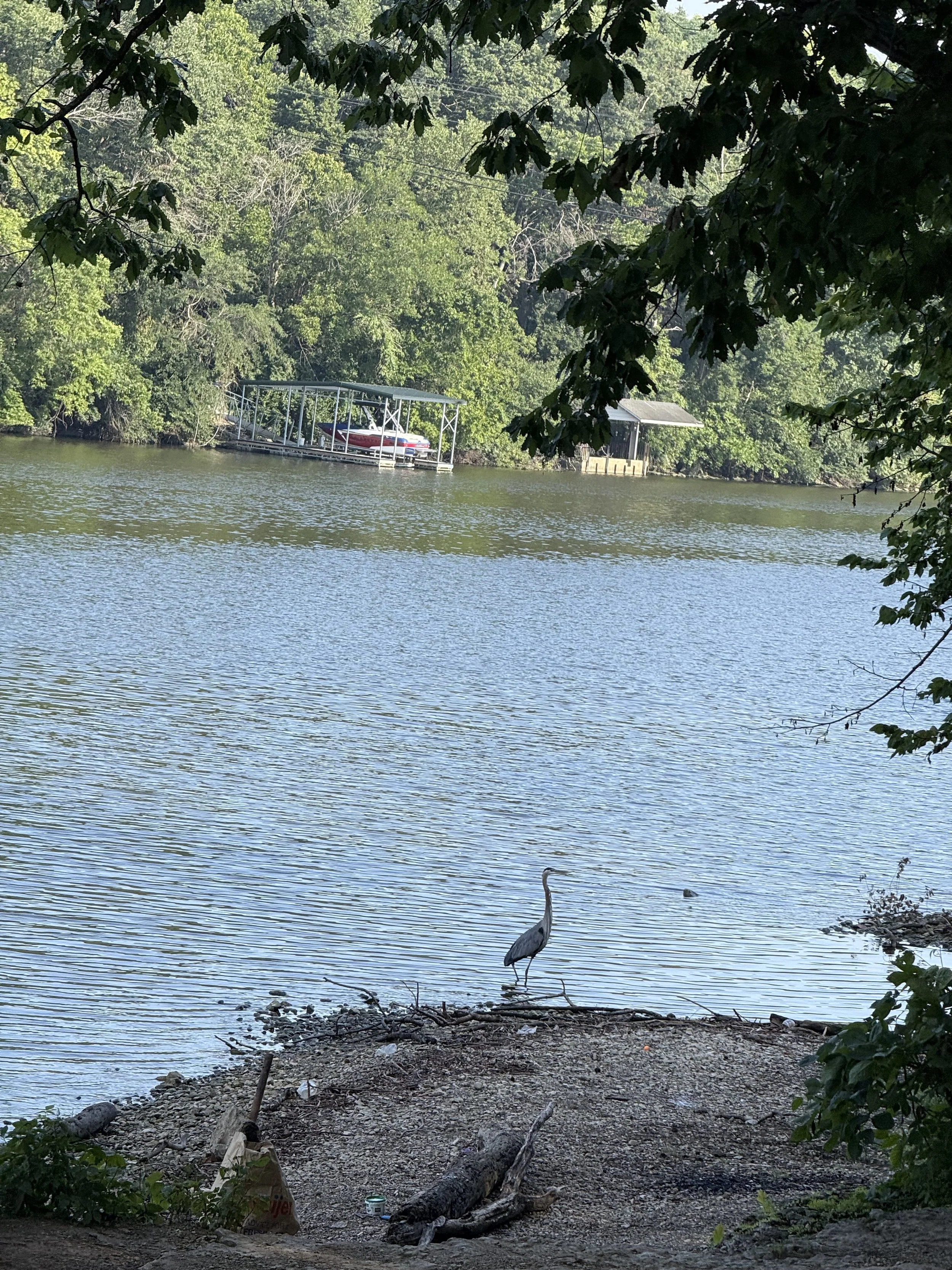 IMG_1413.jpeg