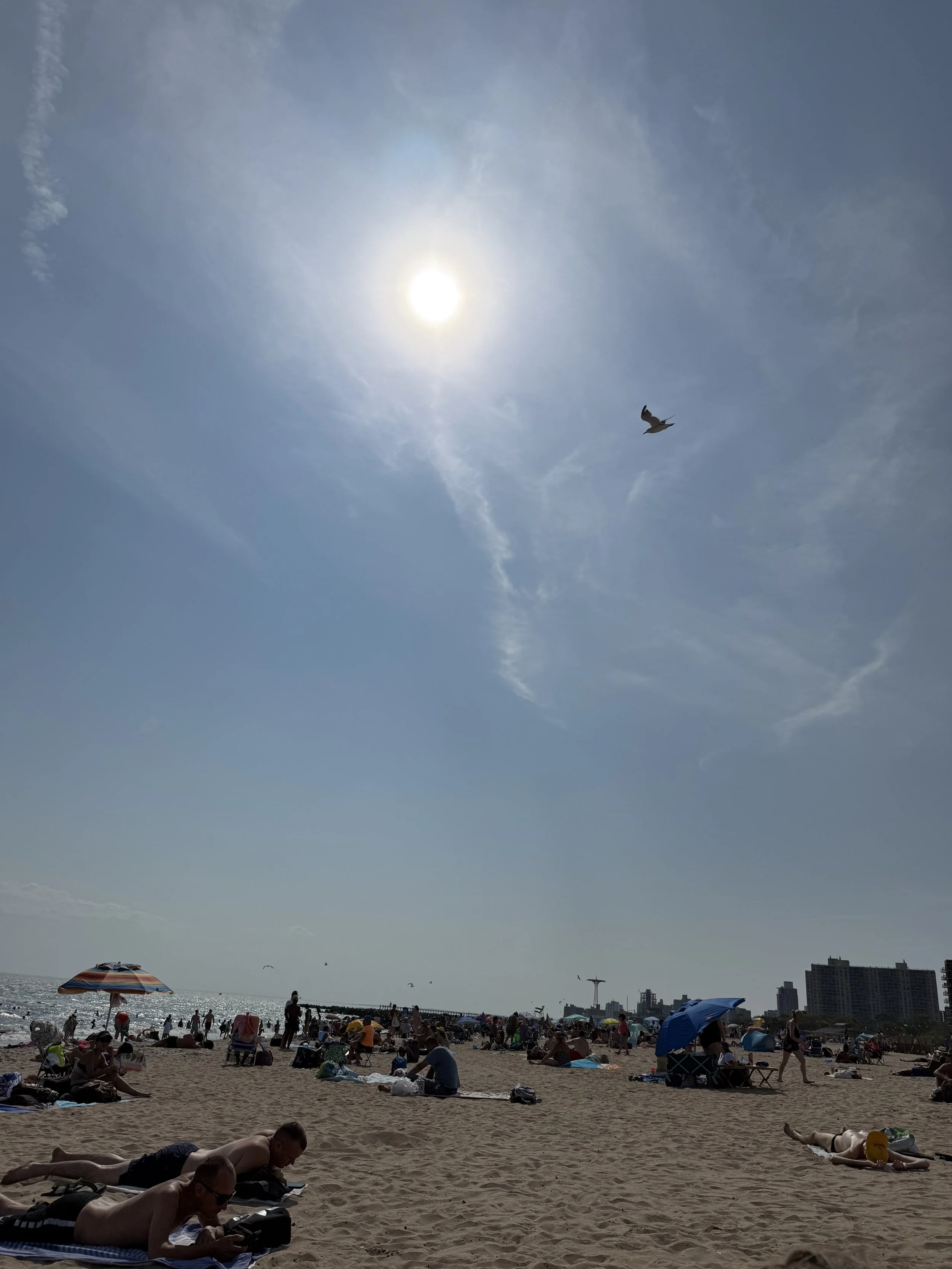IMG_1977.jpeg