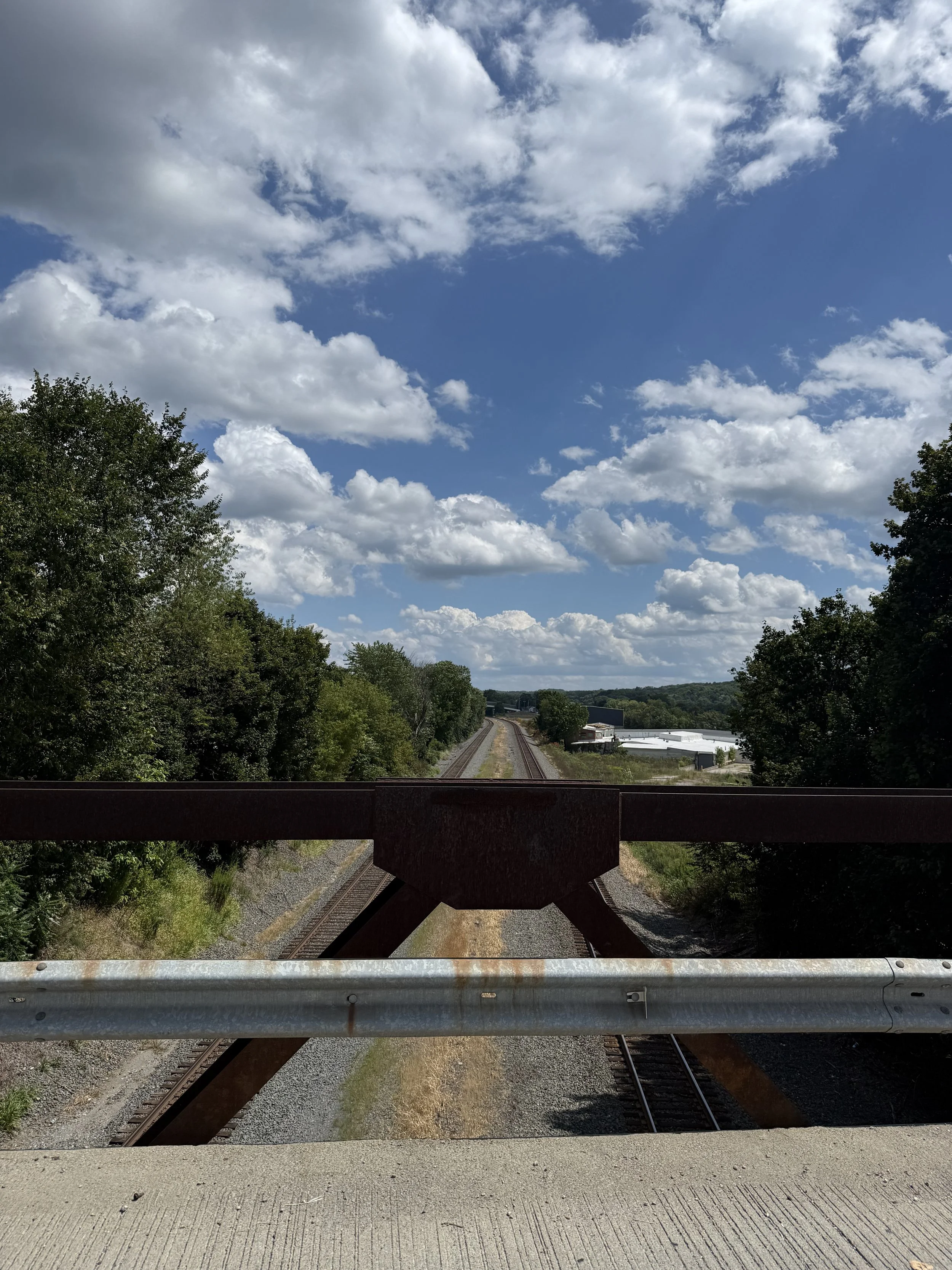 IMG_3019.jpeg