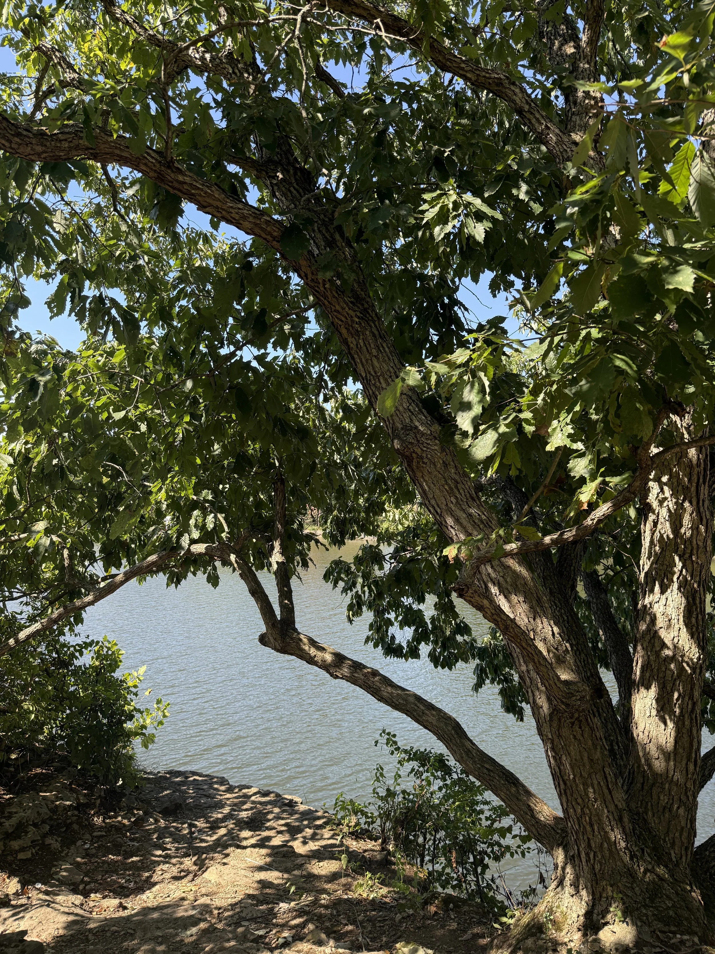 IMG_3689.jpeg