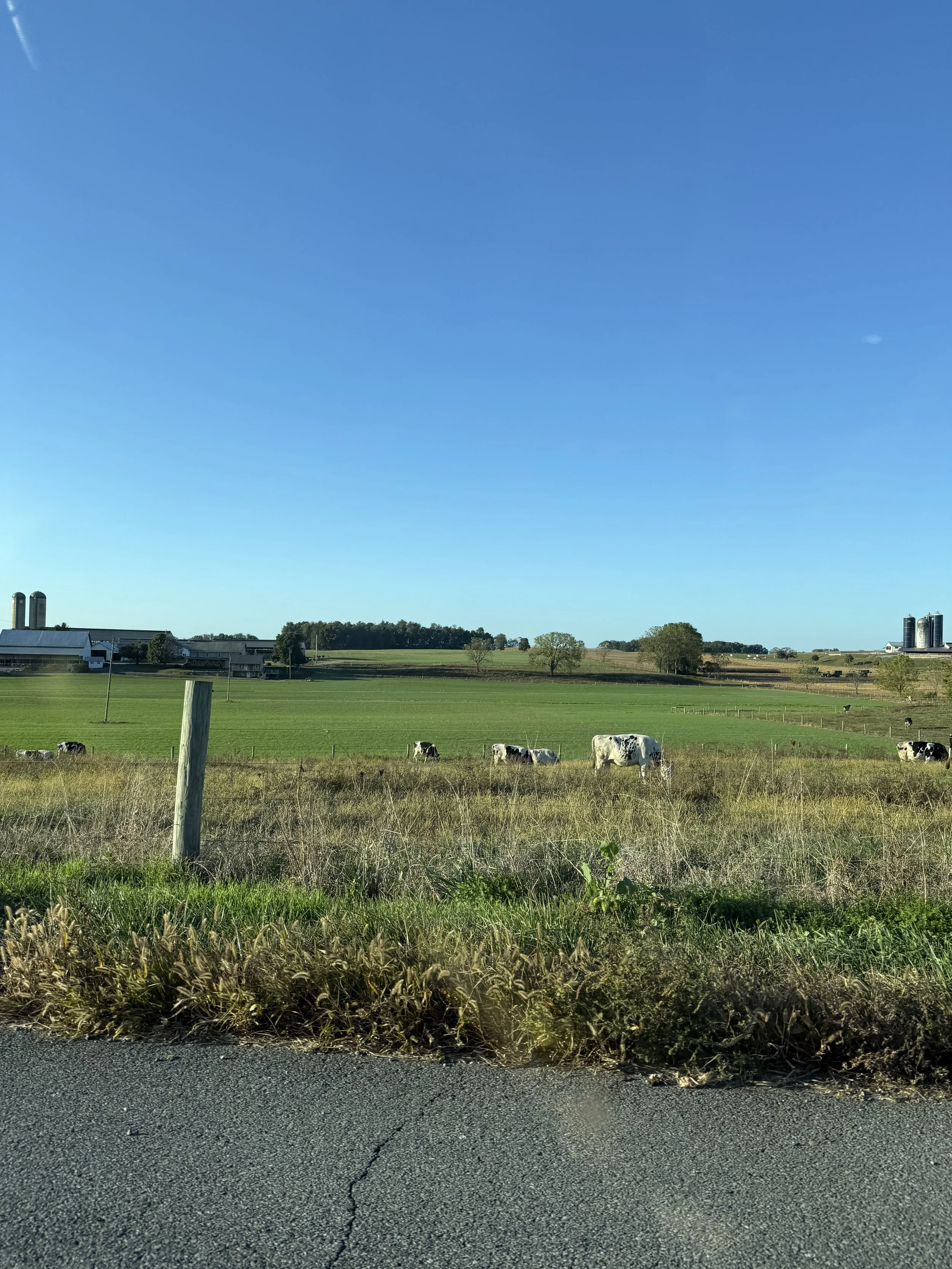 IMG_4926.jpeg