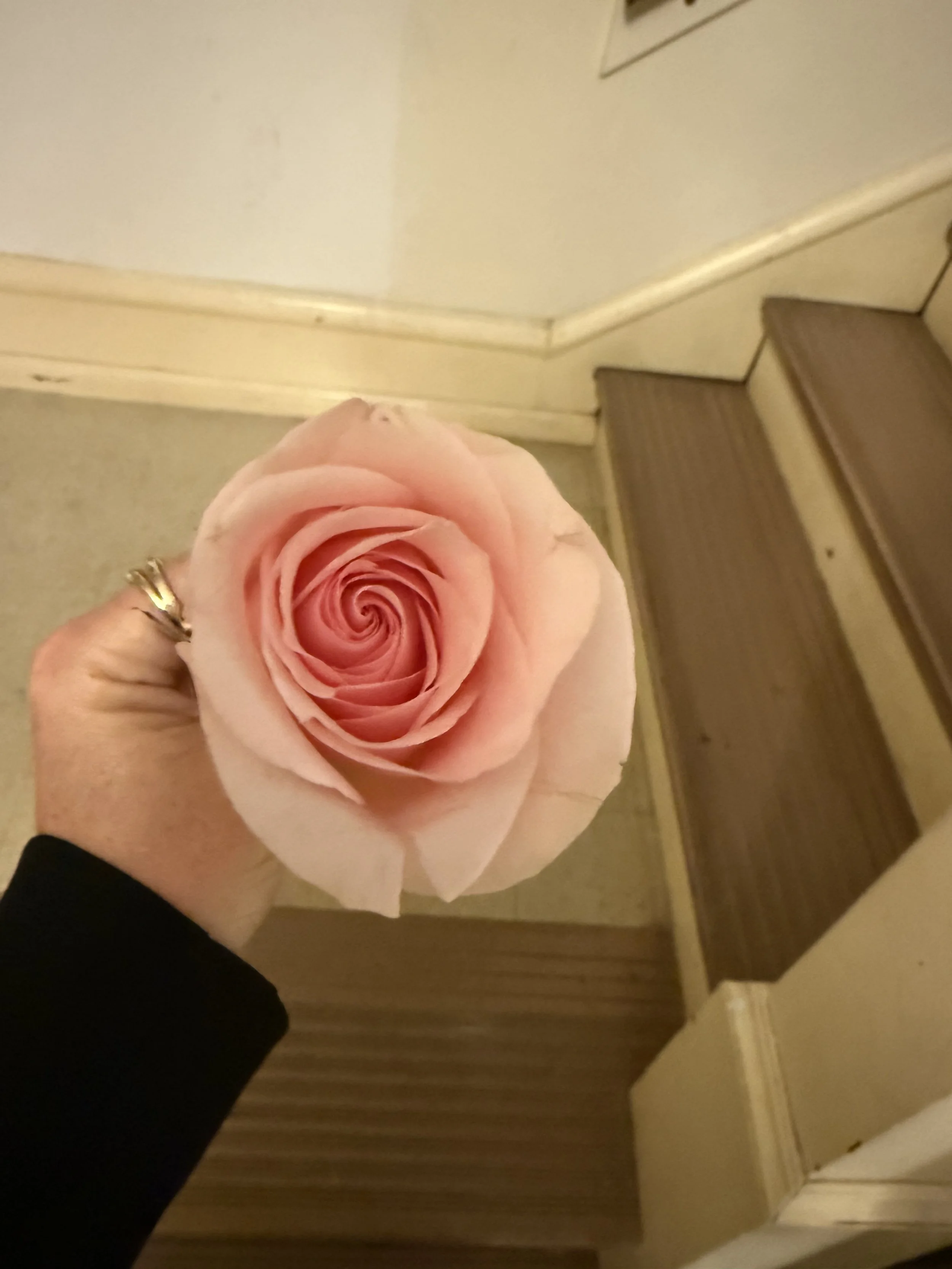 IMG_4905.jpeg