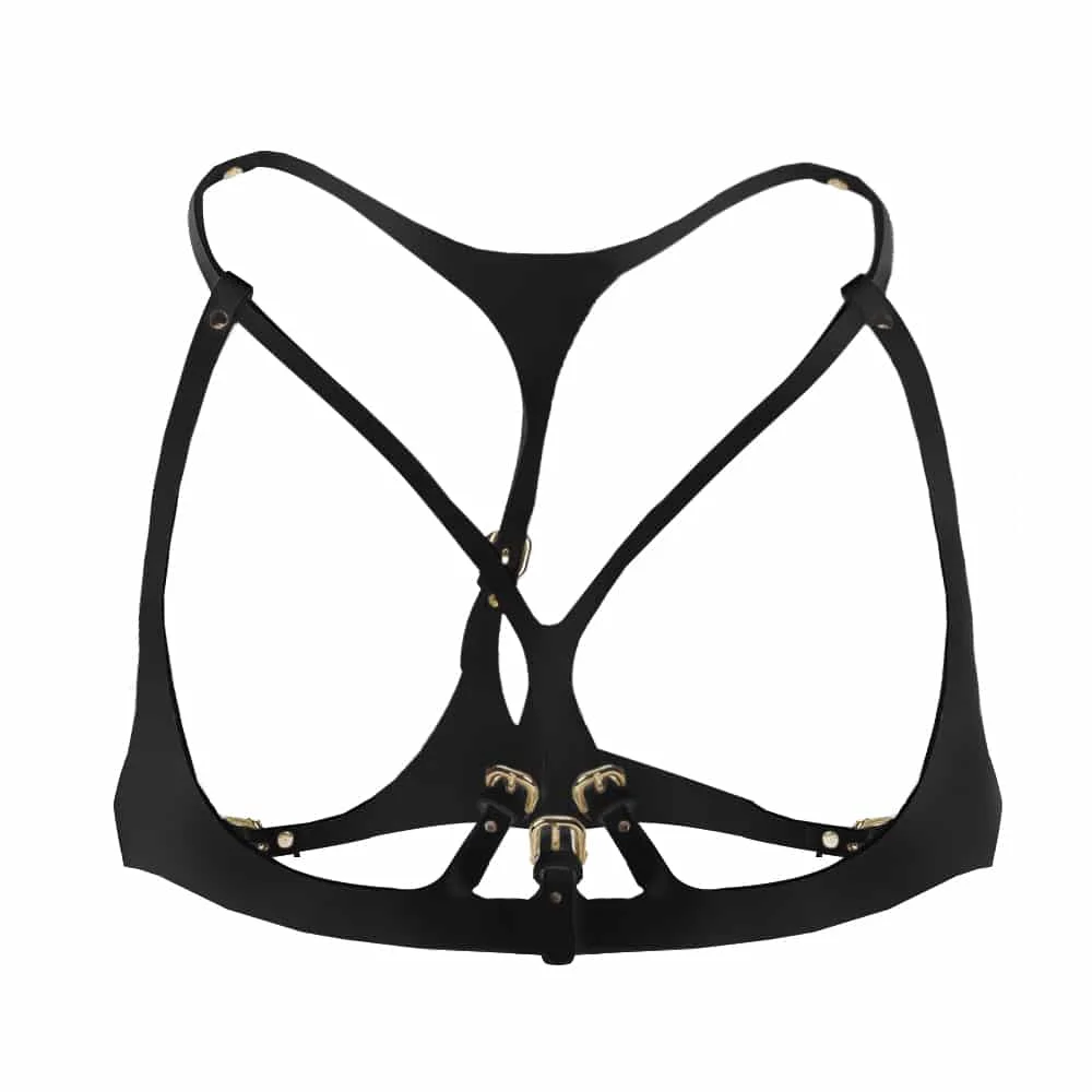 aretha-harness02.jpg