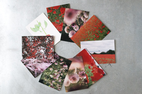 postcard_flowers_84_eshop.JPG