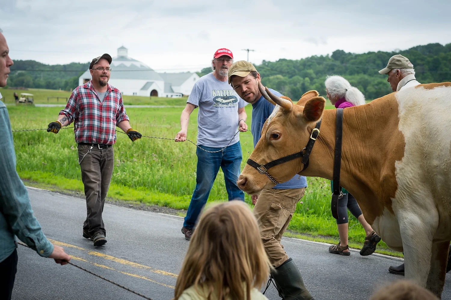 Martin Gitt (plaid shirt) @ Camphill Triform
