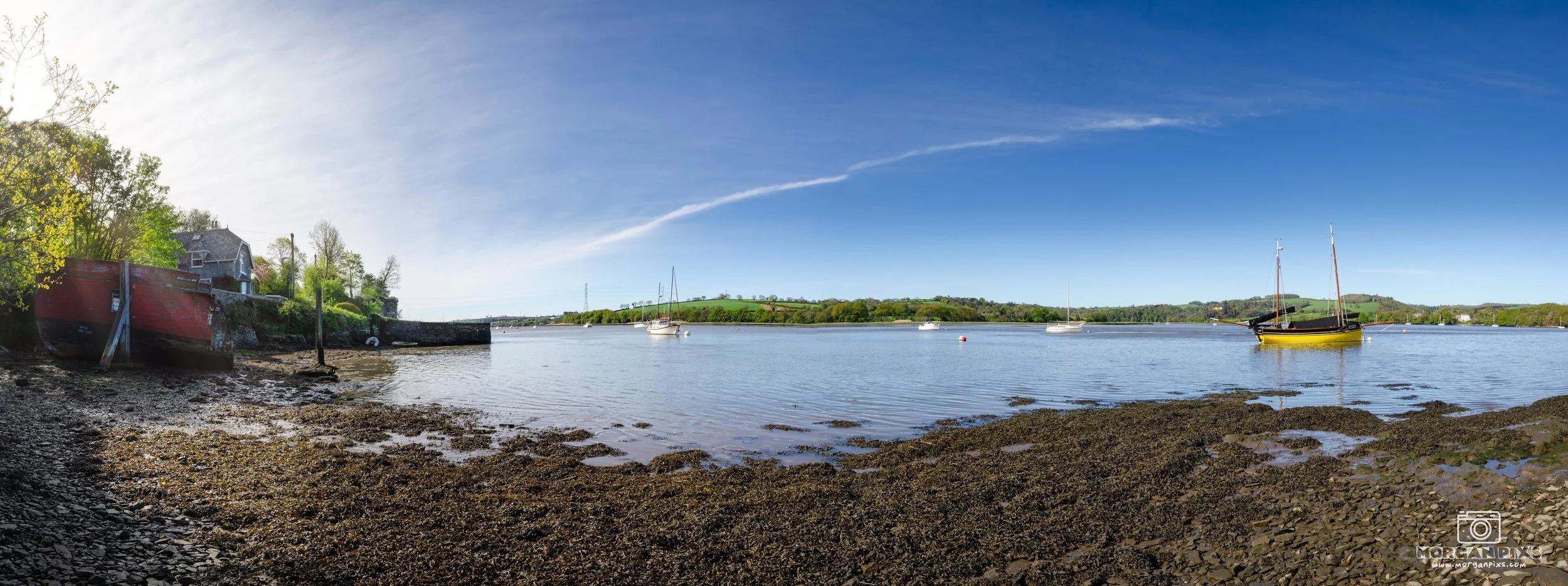 Fantastic early morning taking a few pics along the river Tamar