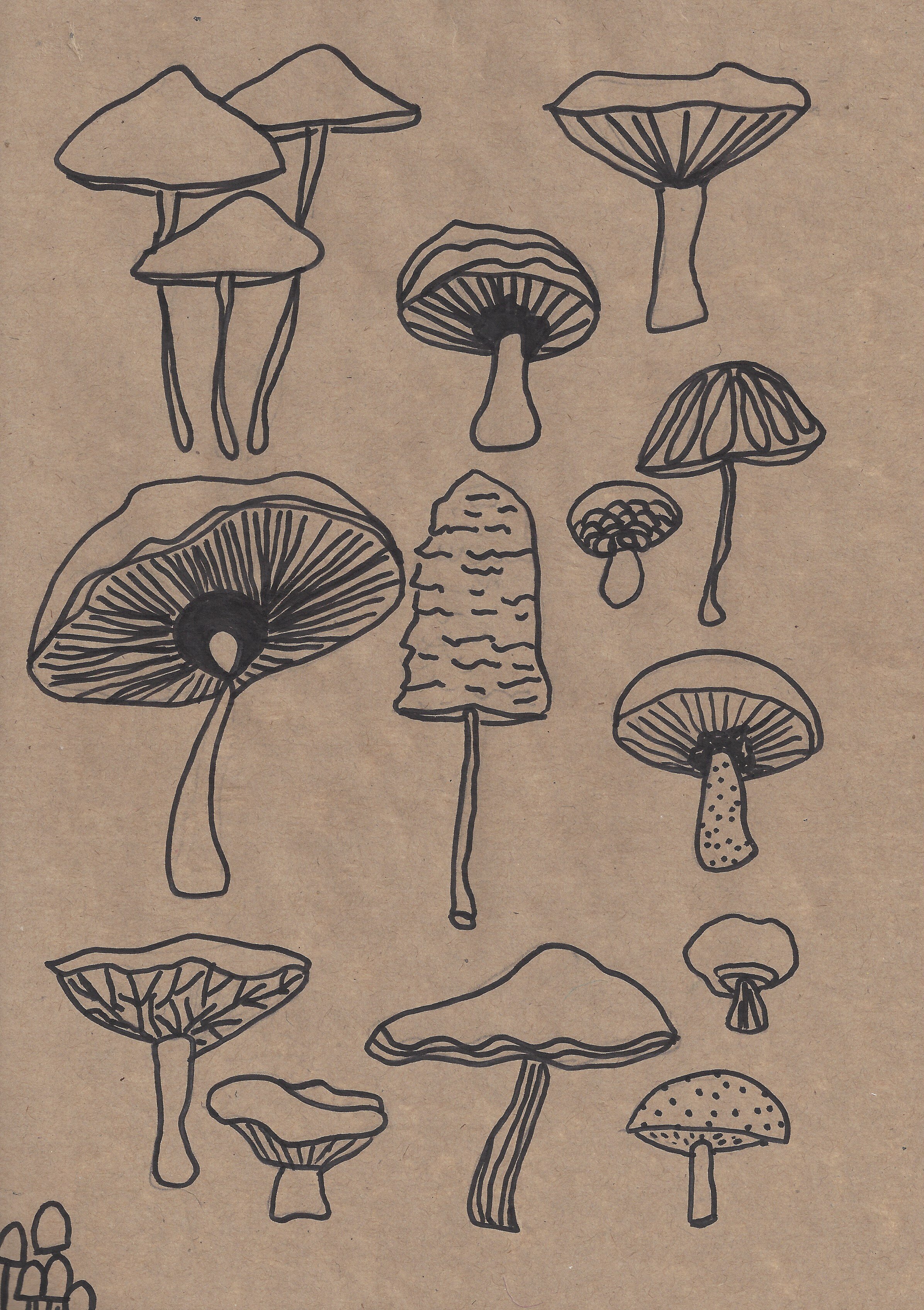 mushroom 2 mg 2020.jpeg