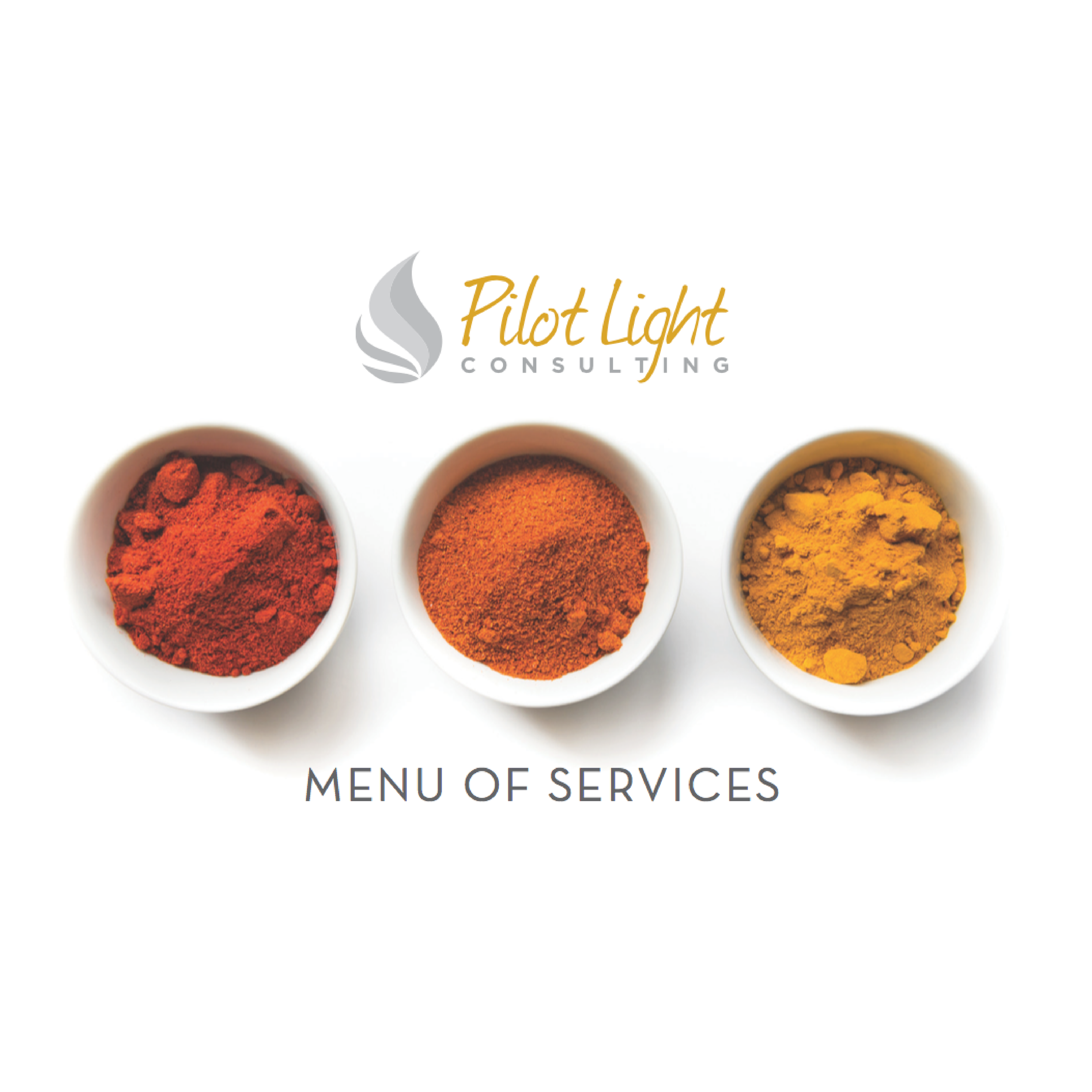 Pilot Light gallery1.png