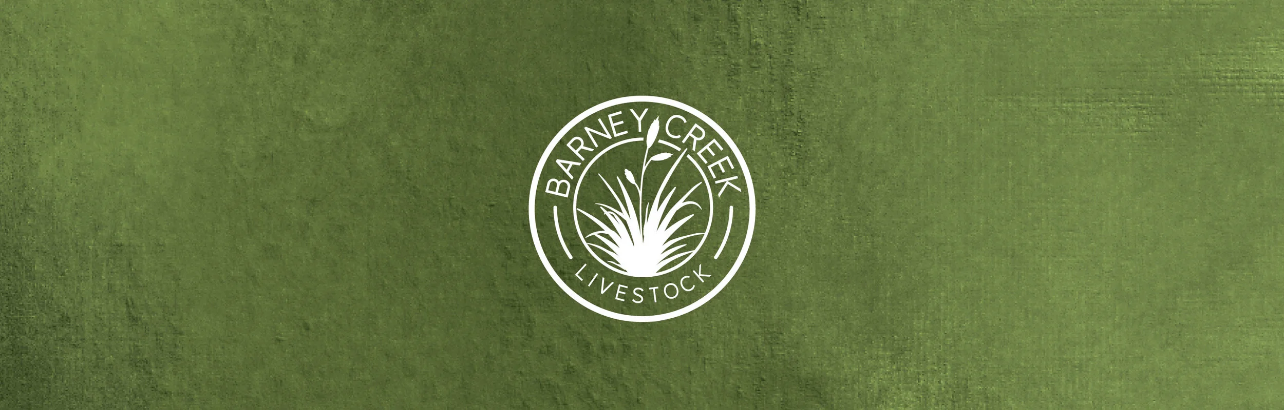 Barney-Creek_HERO.jpg