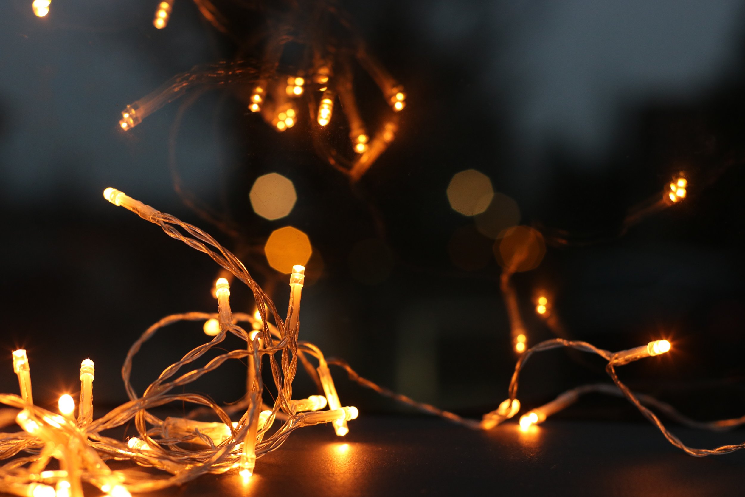 back-light-blur-bokeh-754263.jpg