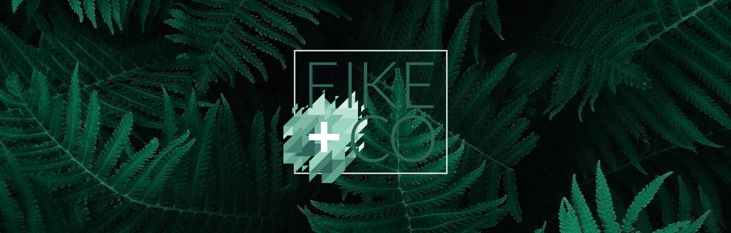 fike and co banner image.png
