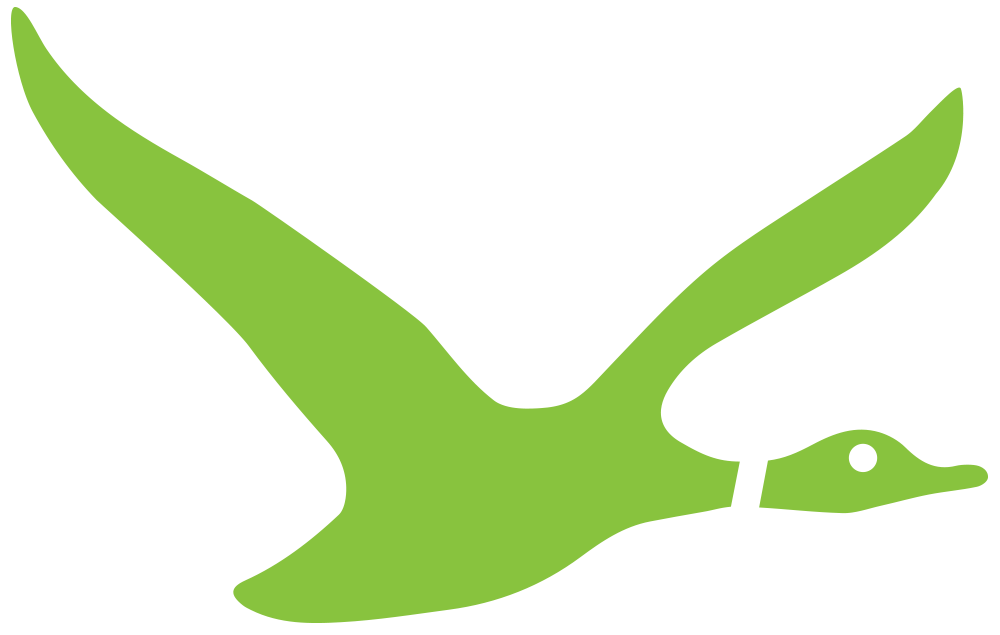 Venturesouth_Duck.png