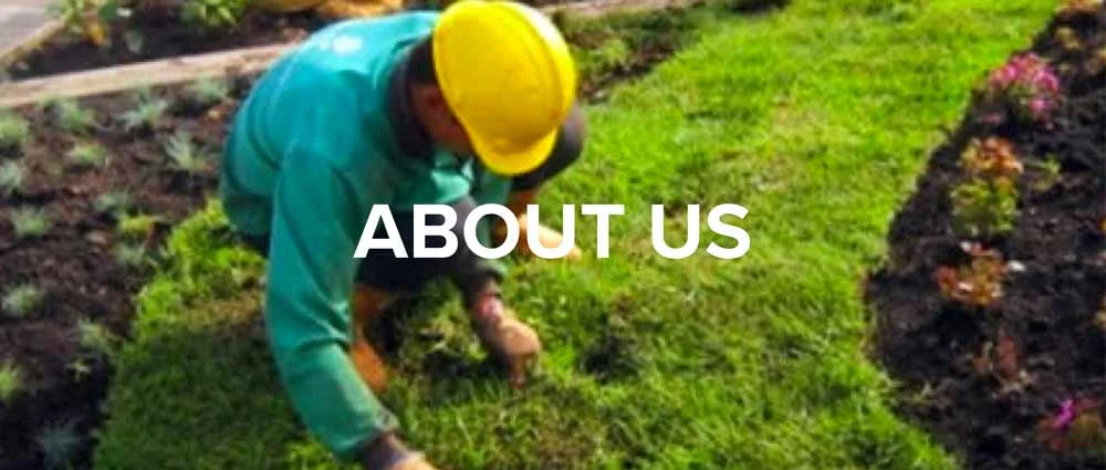 About US_Web.jpg