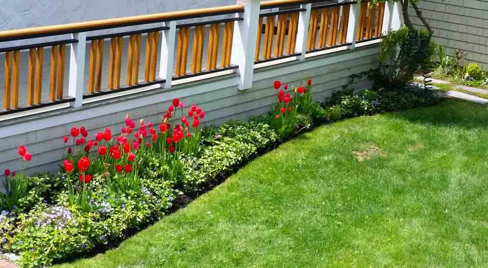 Edging and Mulching