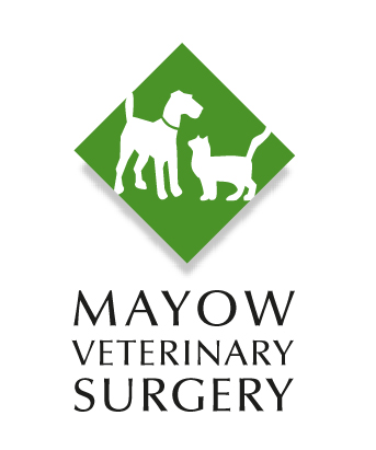 Mayow Vets In Sydenham South London Club