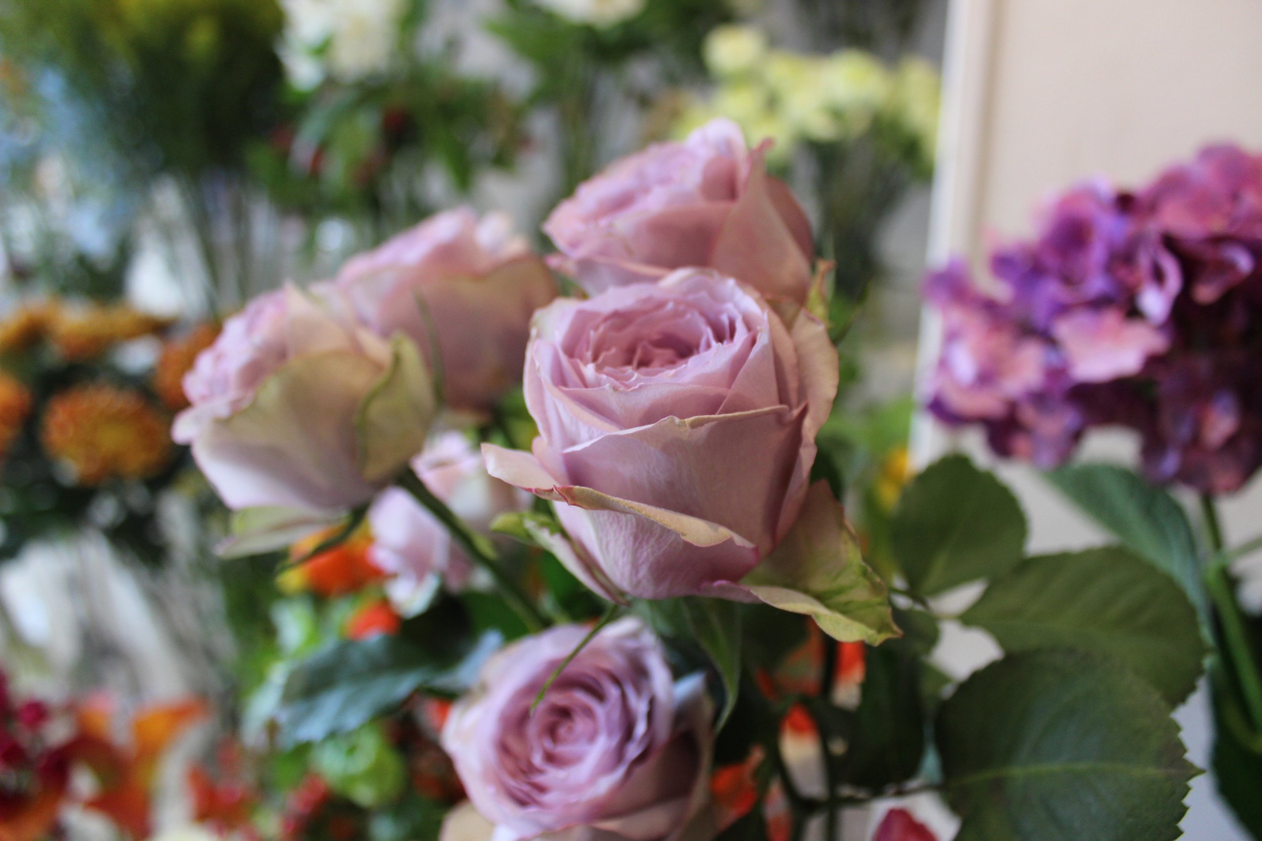 AG Flowers Florist in Nunhead South London Club