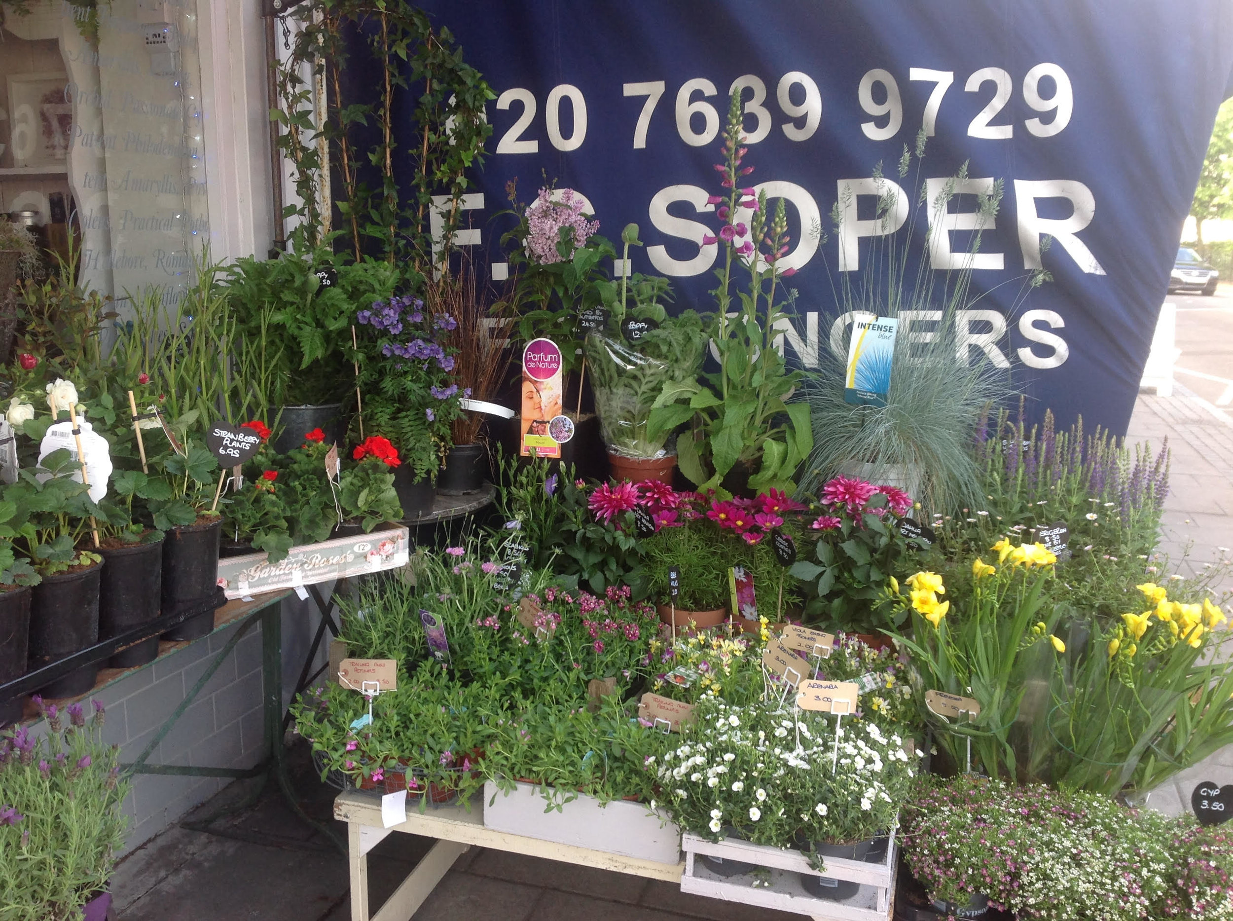 A.G. Flowers Florist in Nunhead South London Club 2.jpg